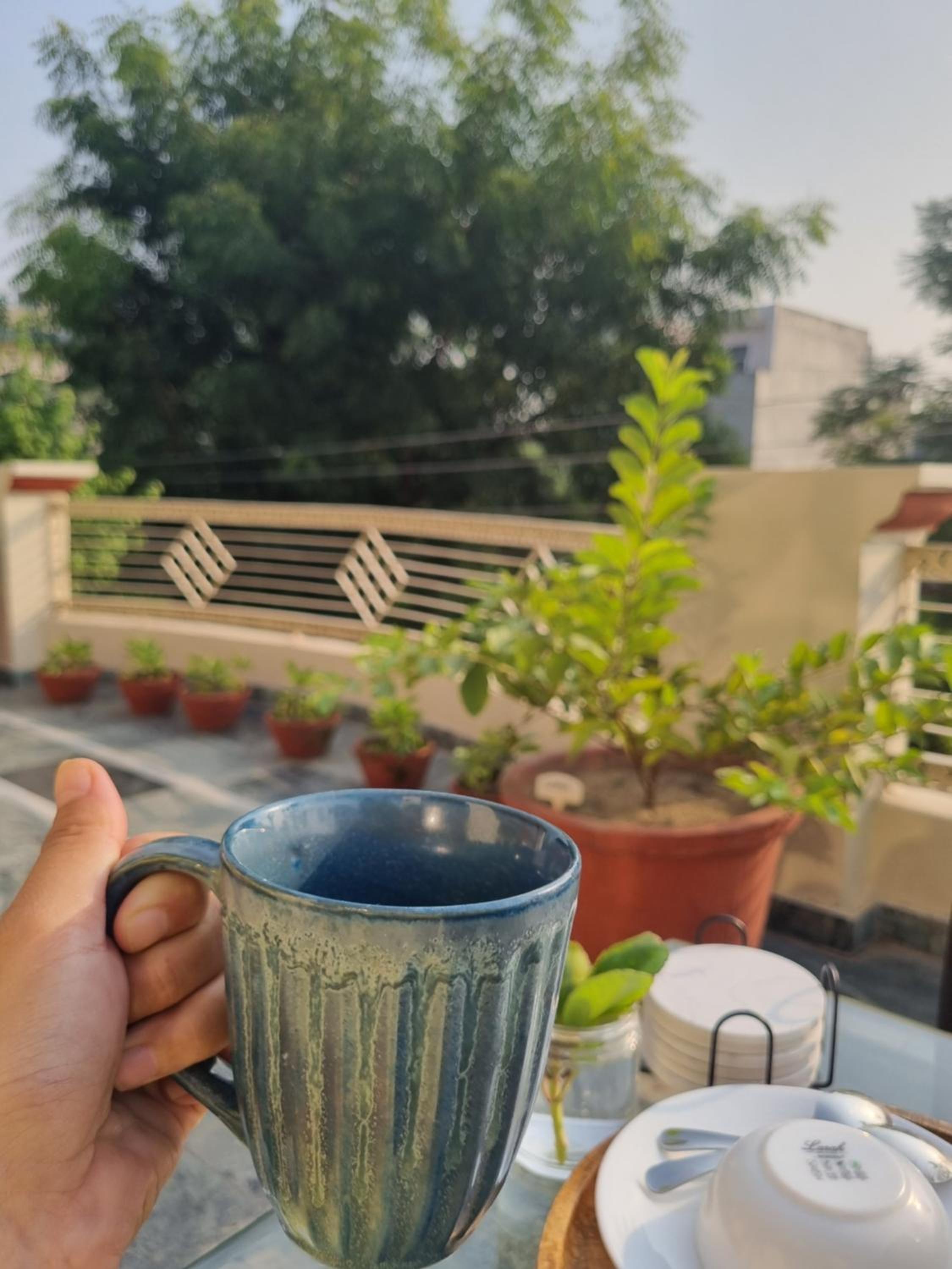balance & terrace
