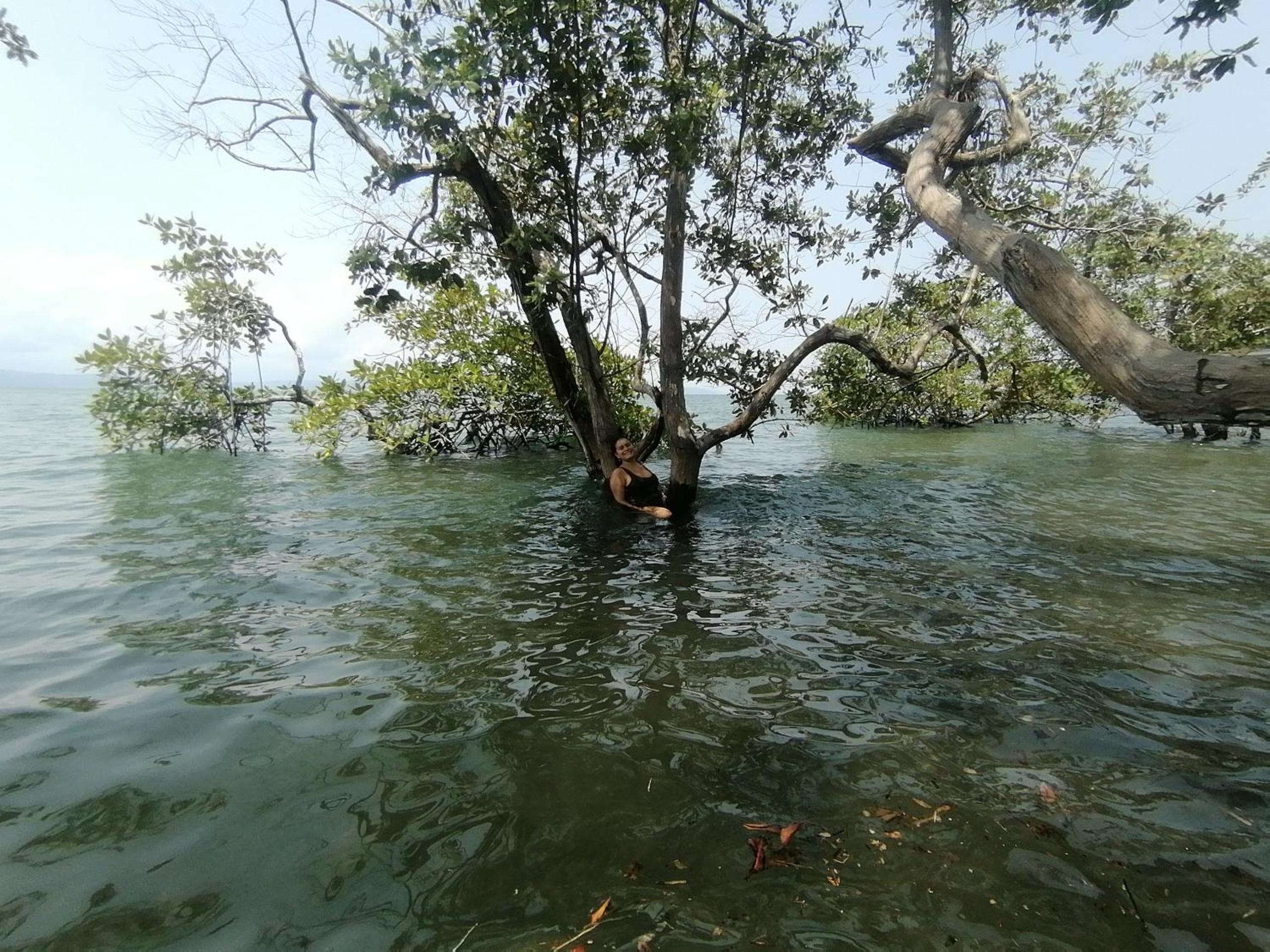 Casita Verde del Campo
