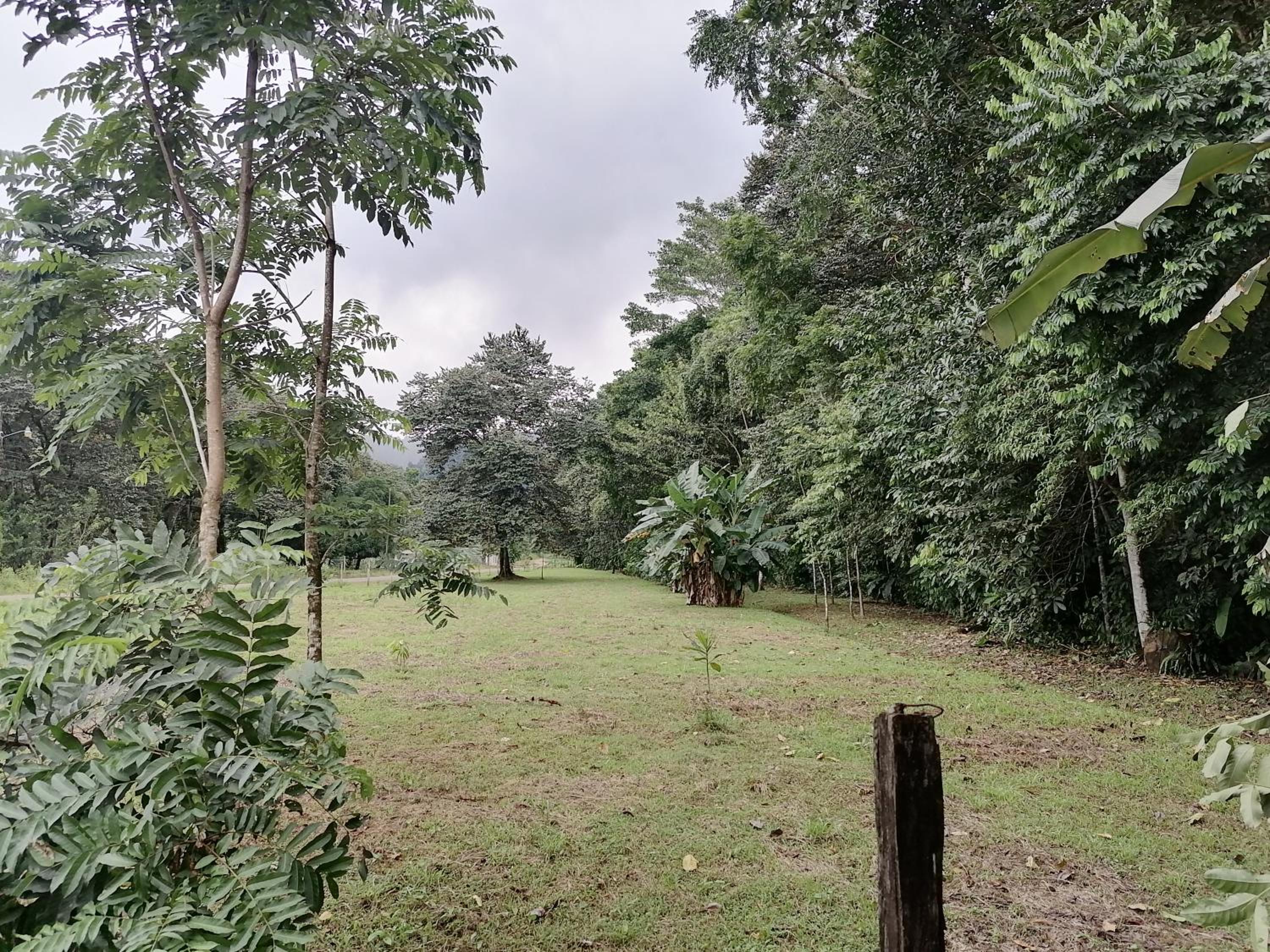 Casita Verde del Campo
