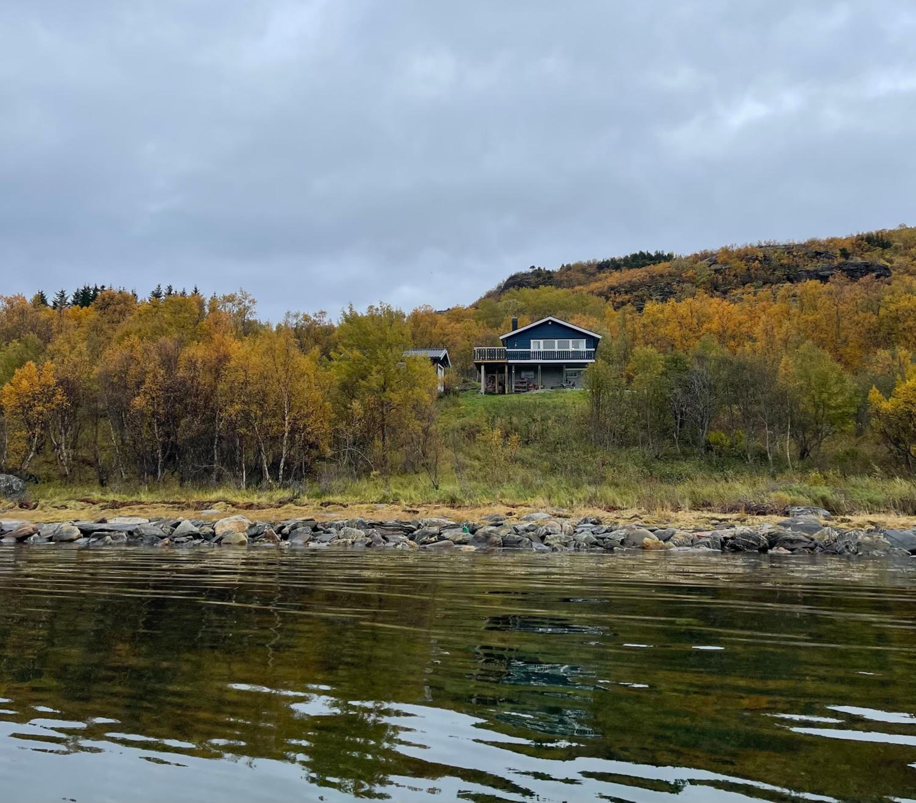 Moose Island- Lofoten, Tromsø, Senja in one step view 2
