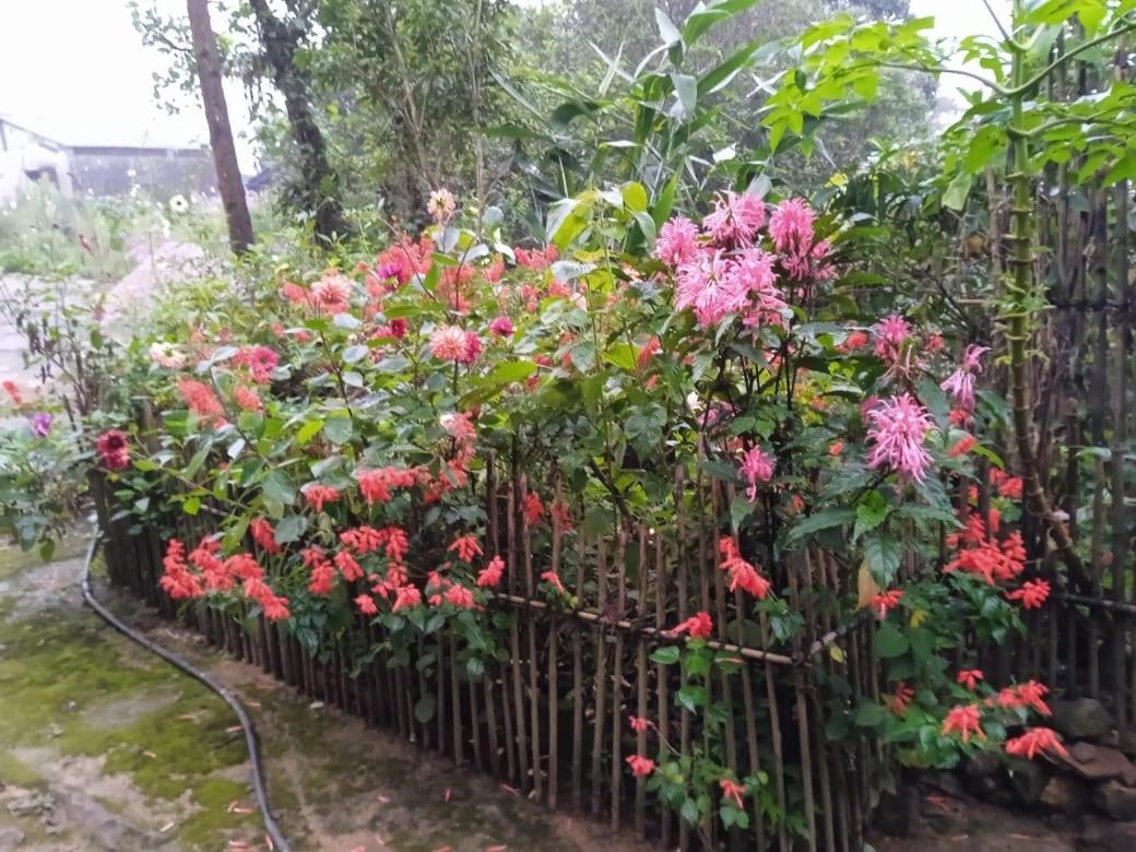 Meikha Homestay