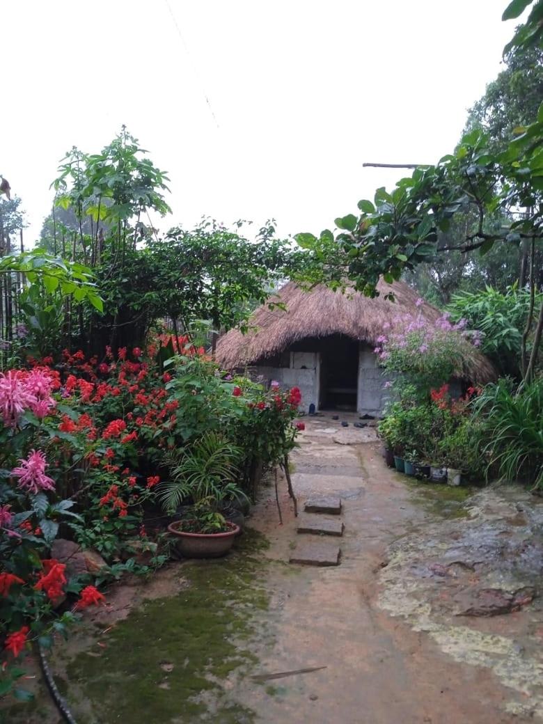 Meikha Homestay