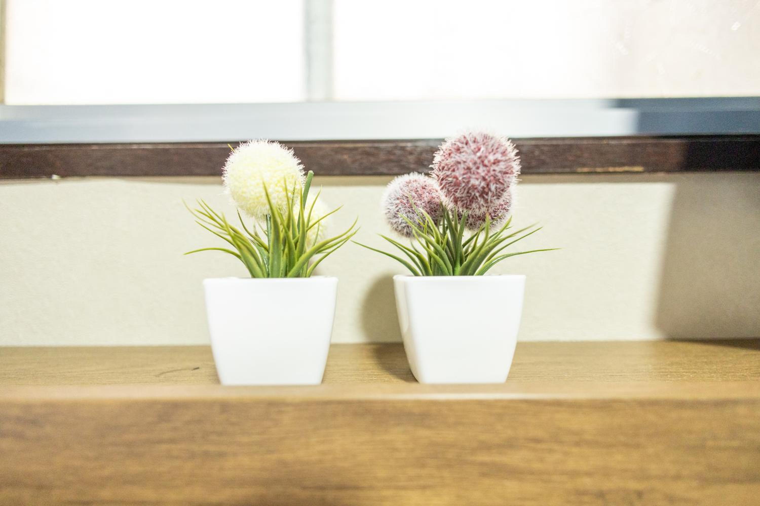 nestay villa osaka imazato