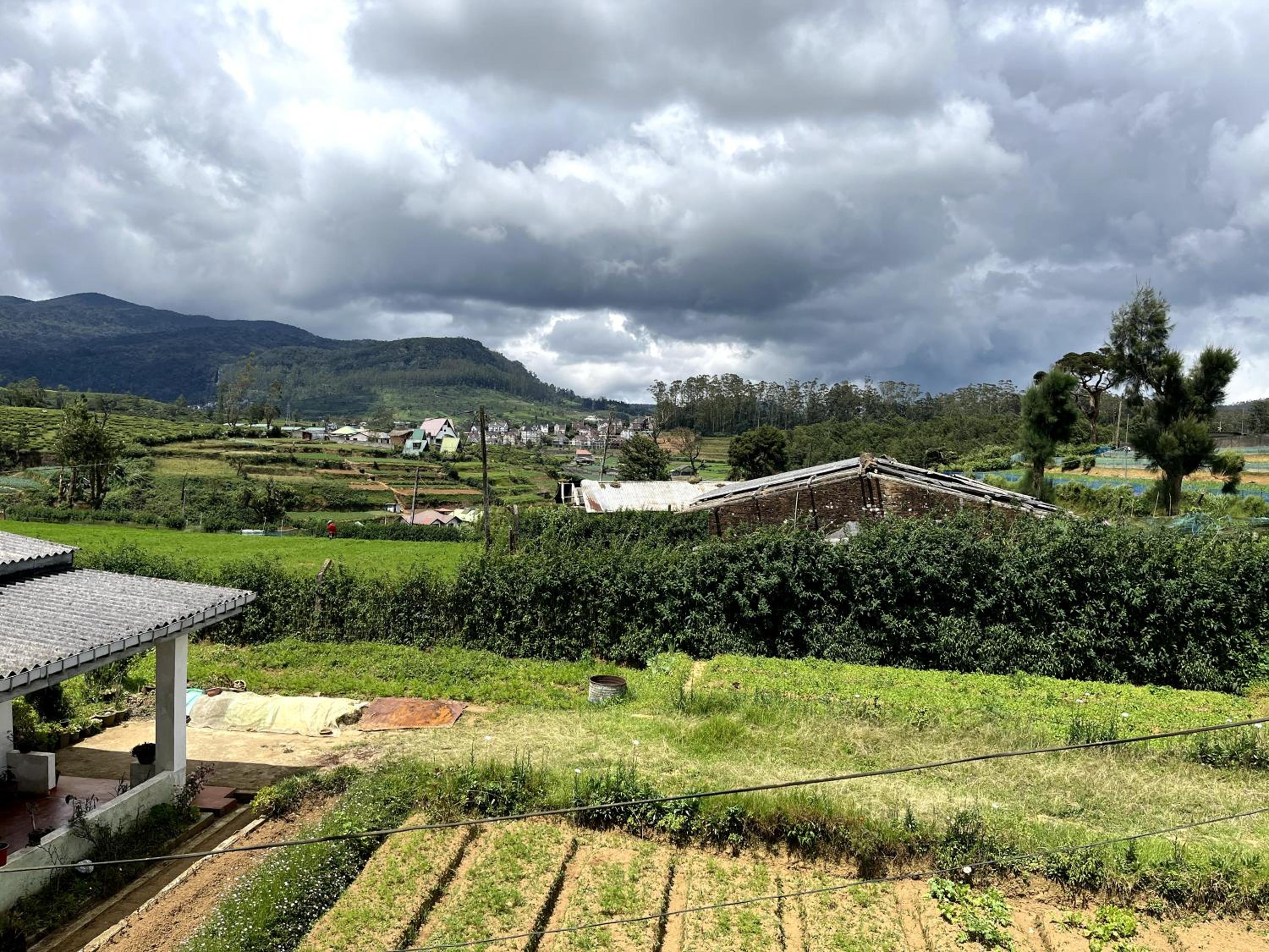 AGP home view 4