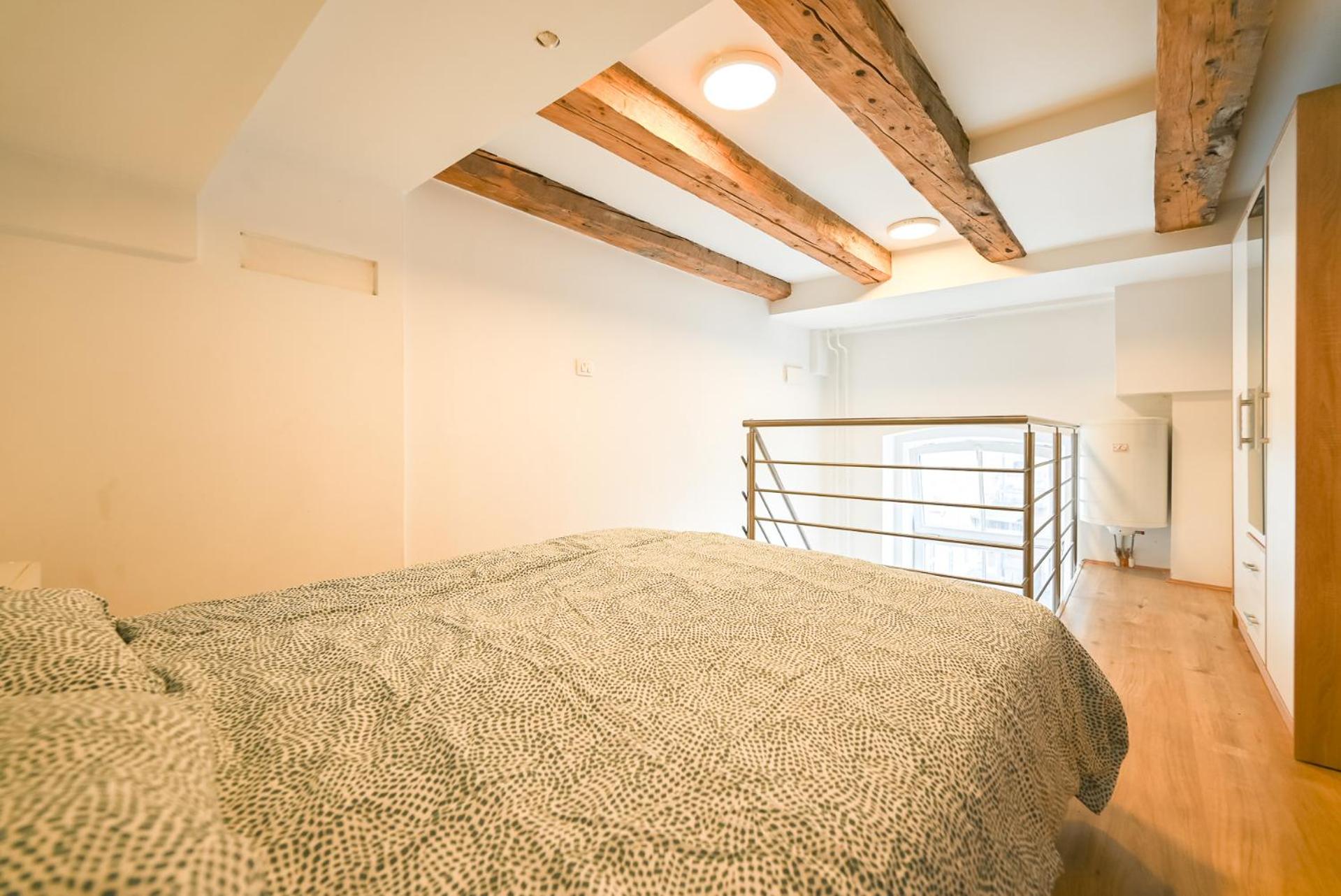 Apartma N'Poznam Tobačna 2 view 2