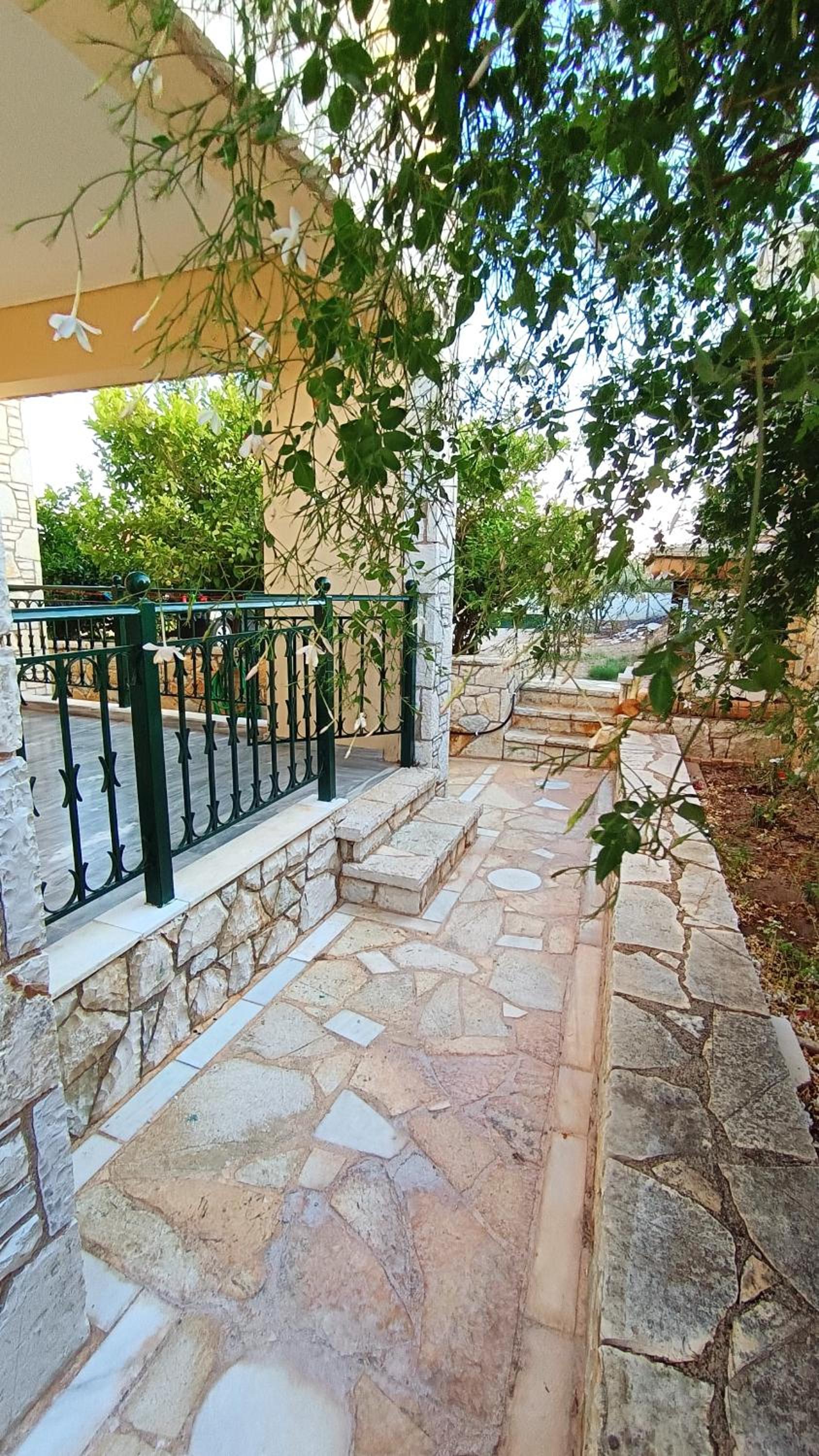Photo 44