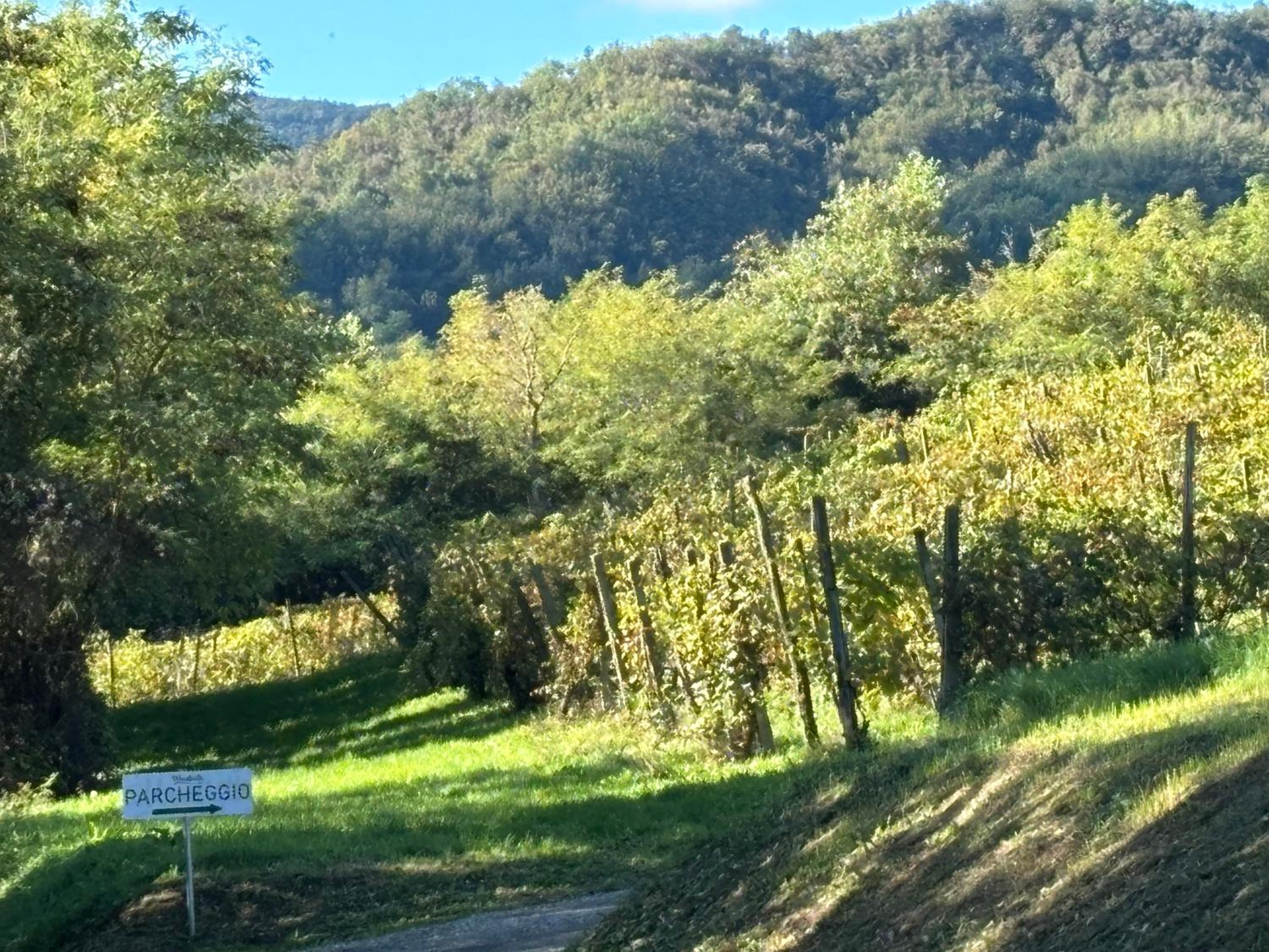 UvaMatta view 4