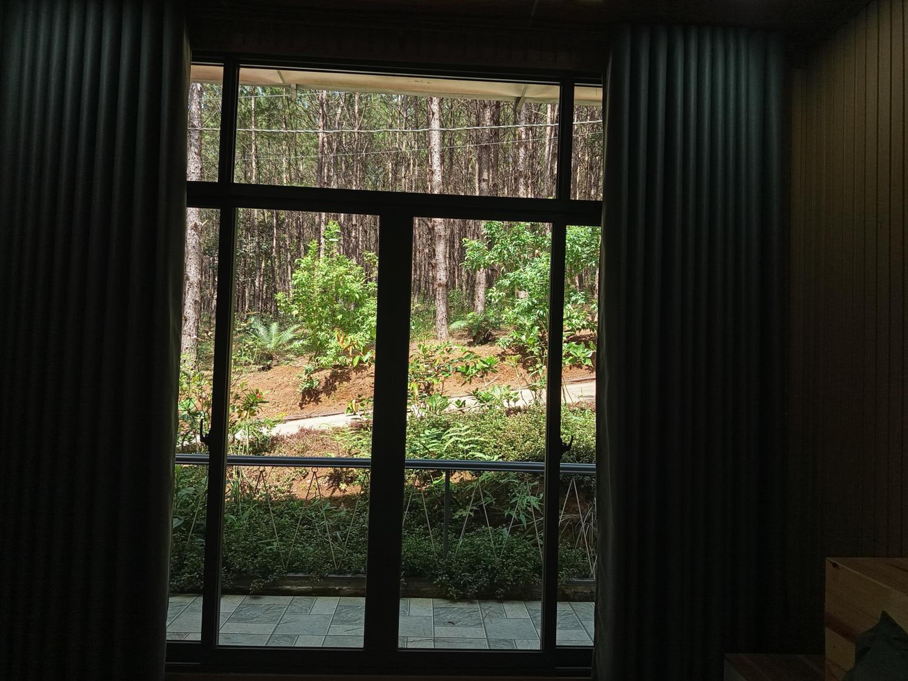 Photo 41
