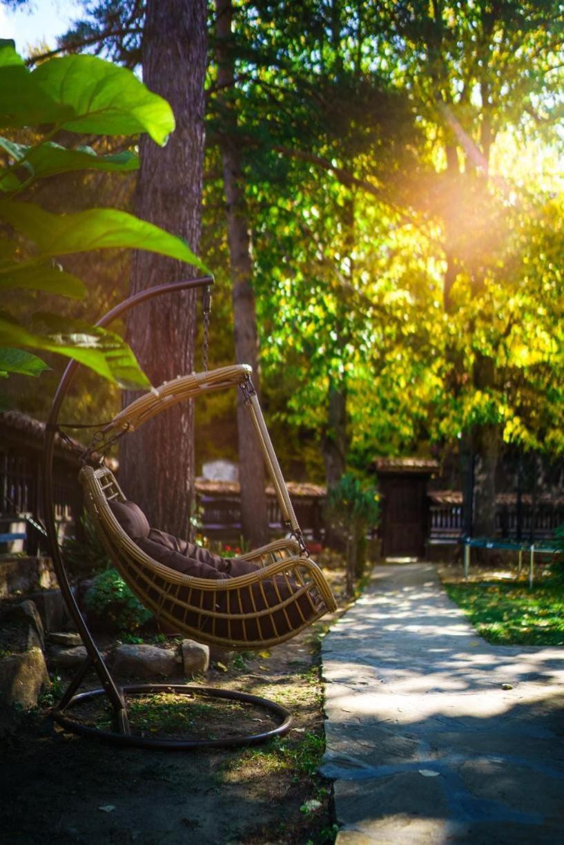 Forest Paradise Hanevci