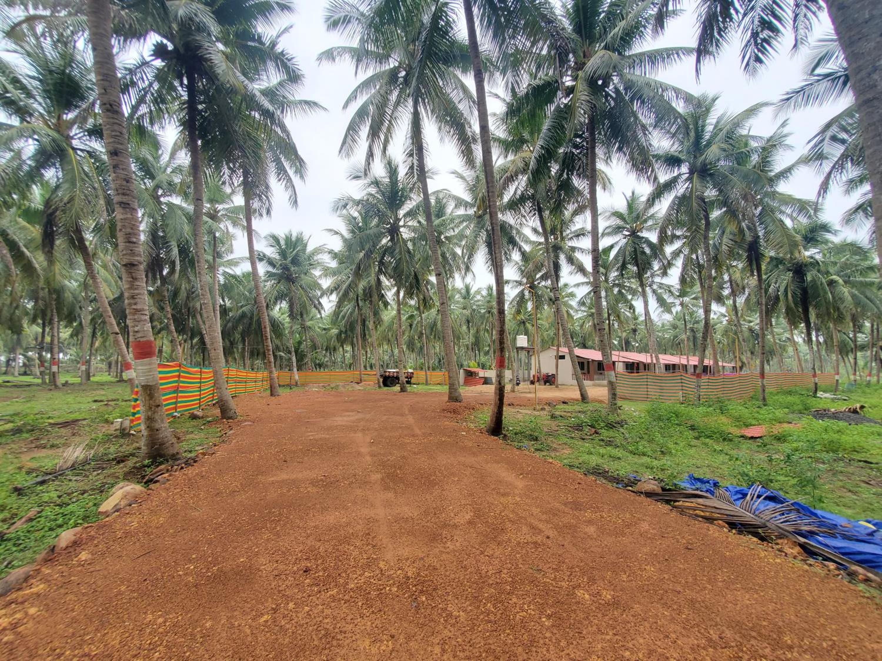 Coastline Beach Resort view 2