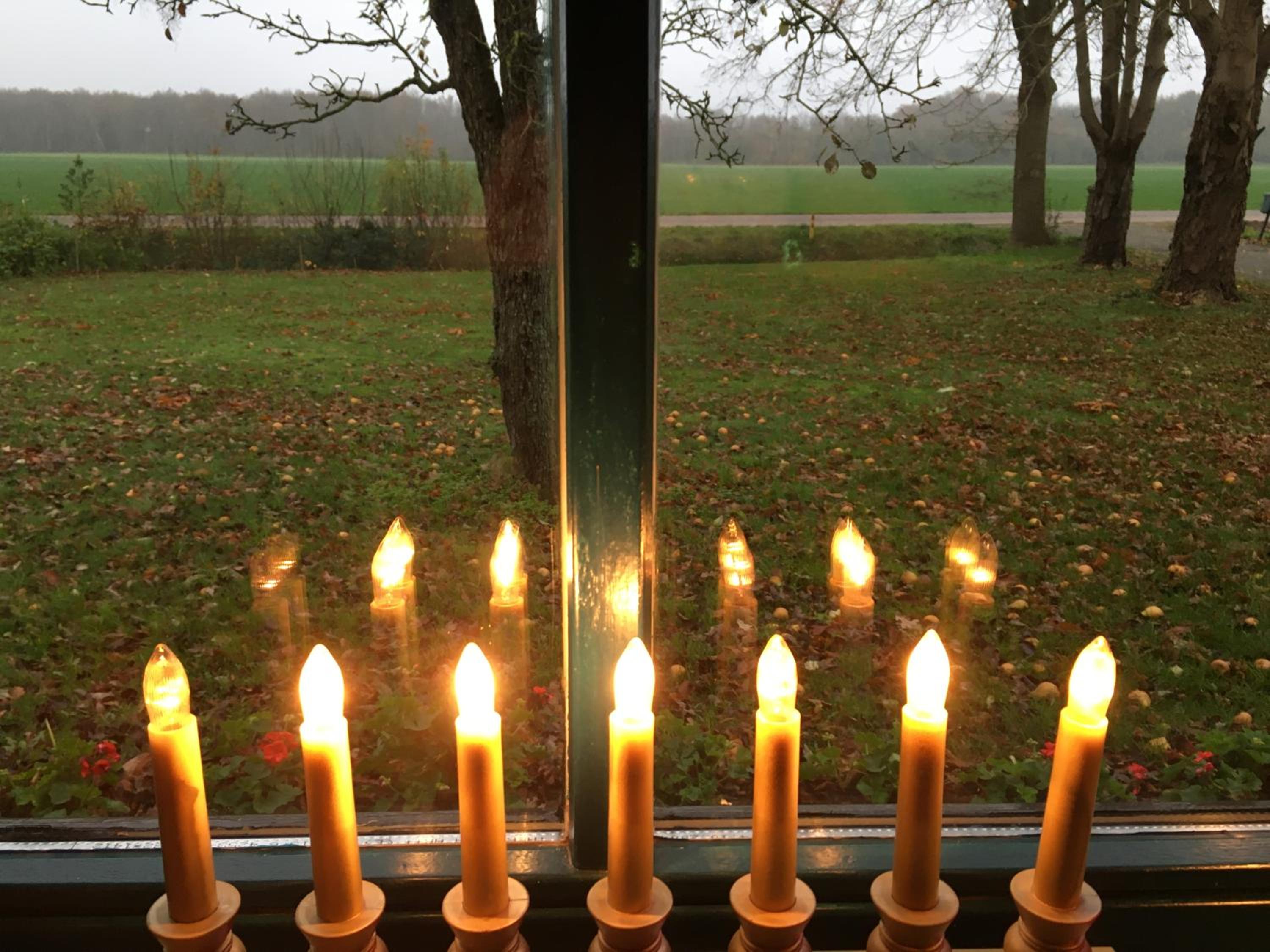 Studio in farmhouse Close to Giethoorn view 3