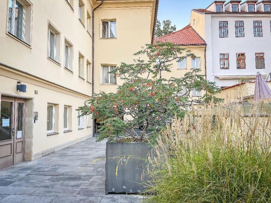 Exclusive diamond at Mala Strana