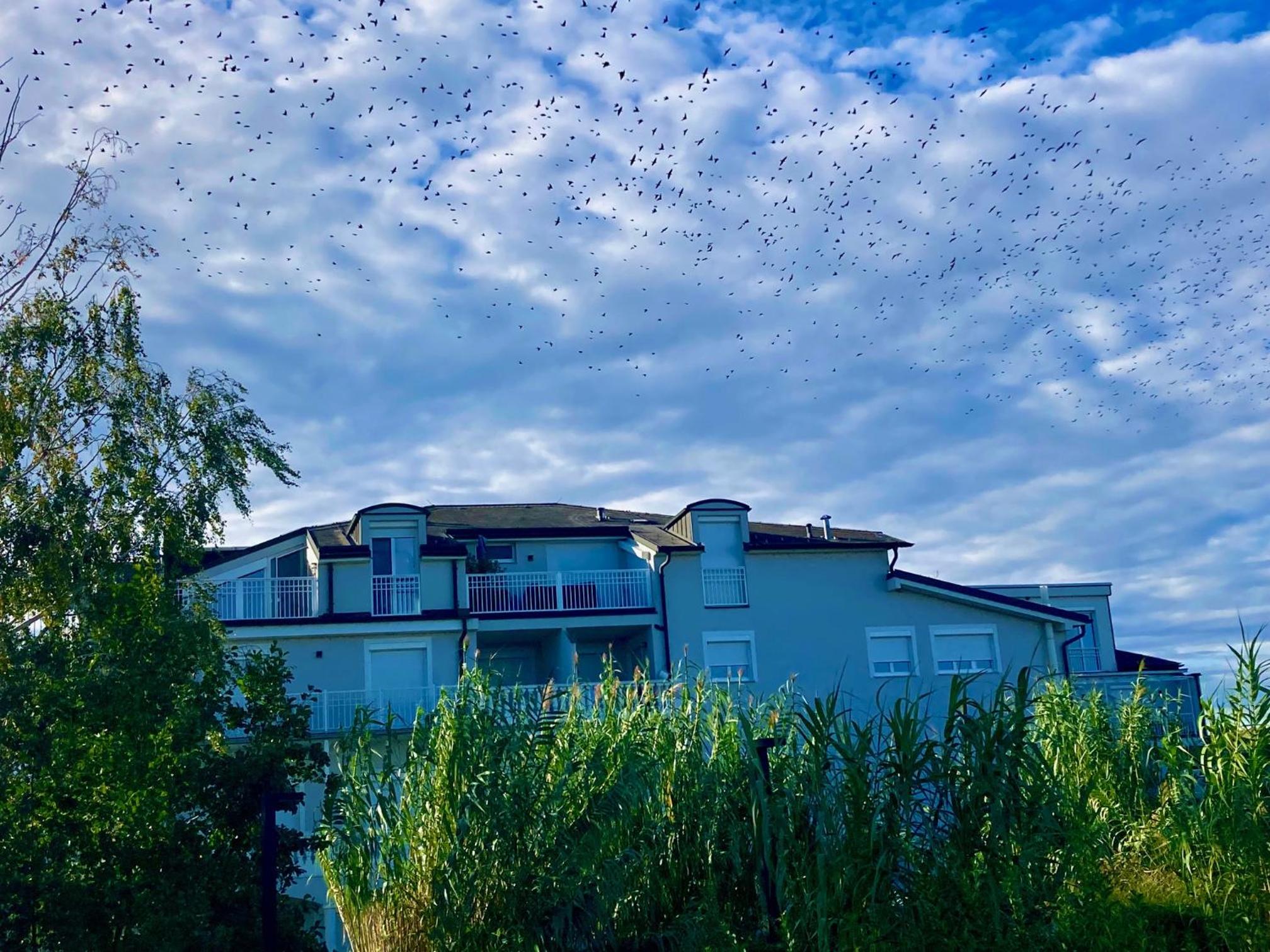 Apartments C'EST LA SEA - Whirlpool-Suite oder Dachterrassen-Suite - Pets welcome
