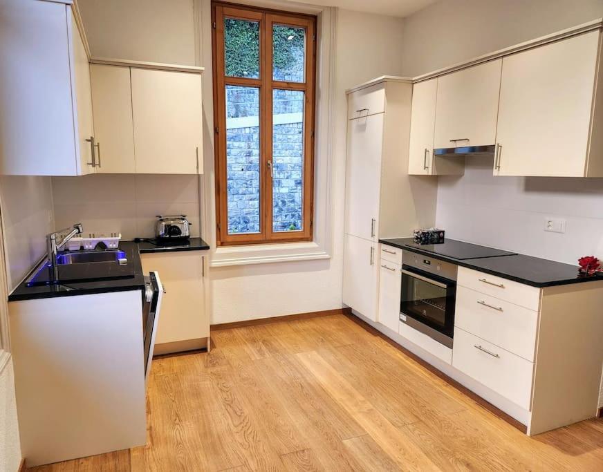 Traumwohnung direkt am Thunersee