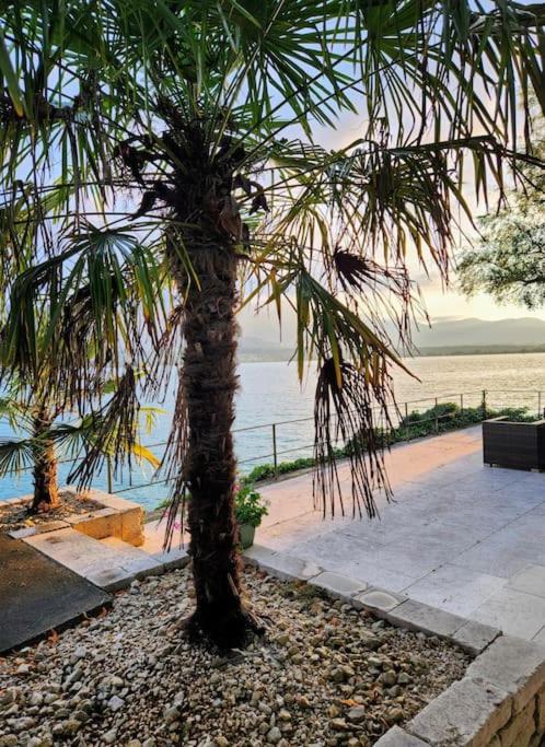 Traumwohnung direkt am Thunersee