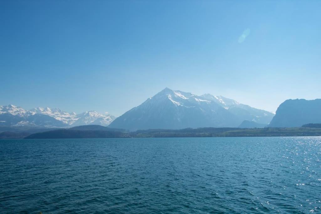 Traumwohnung direkt am Thunersee