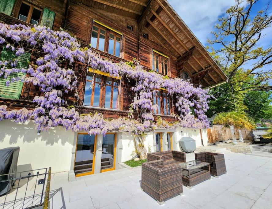 Traumwohnung direkt am Thunersee