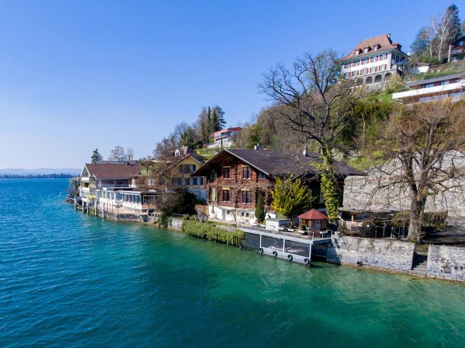 Traumwohnung direkt am Thunersee