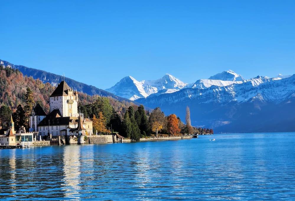 Traumwohnung direkt am Thunersee