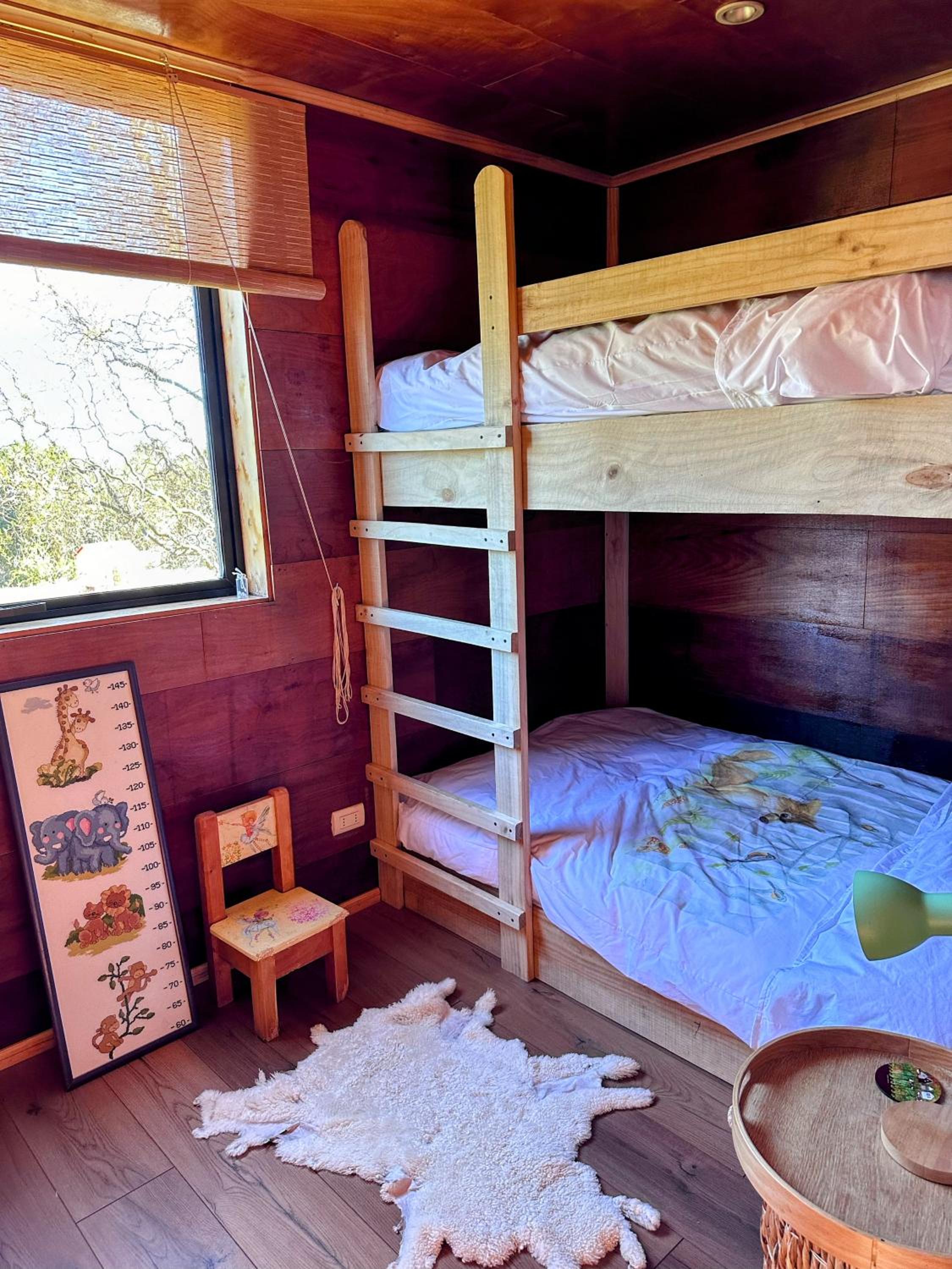Loft en la naturaleza CarreteraAustral bella vista