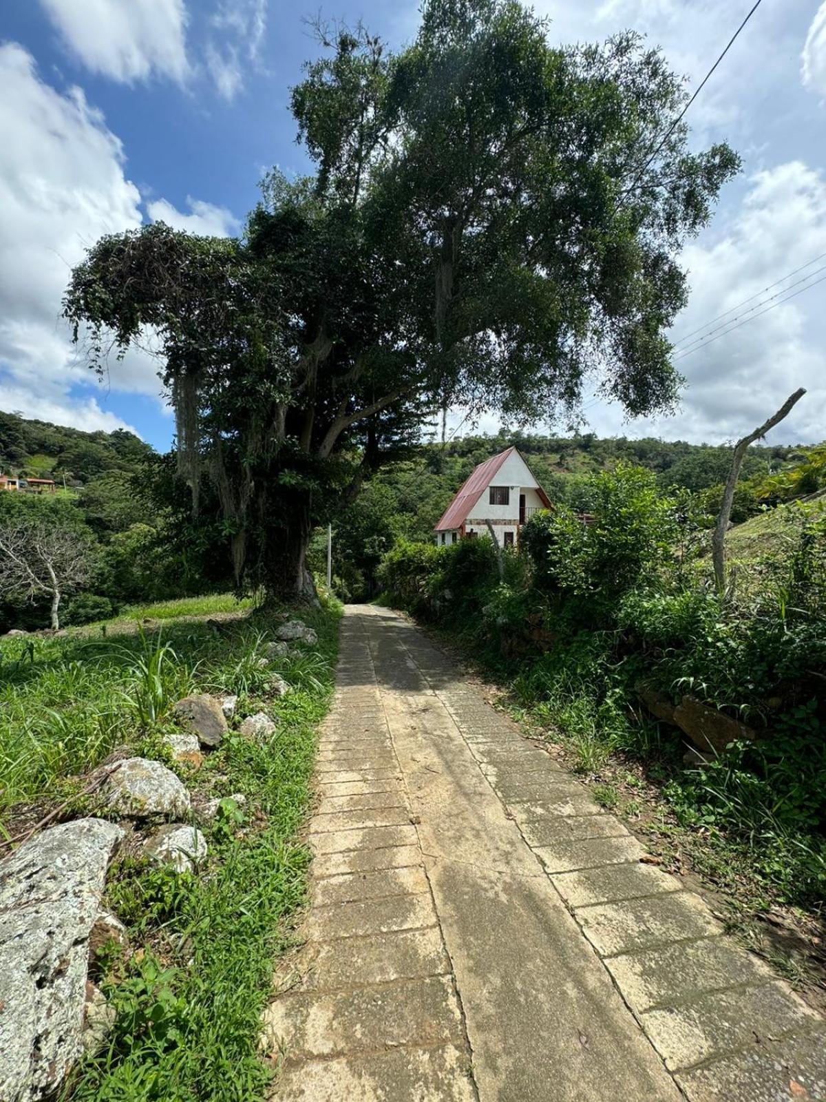 Cabaña Chalet La Lomita