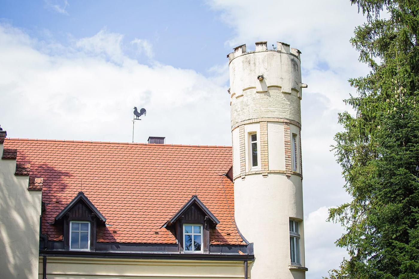 Schloss Suggenstein view 4