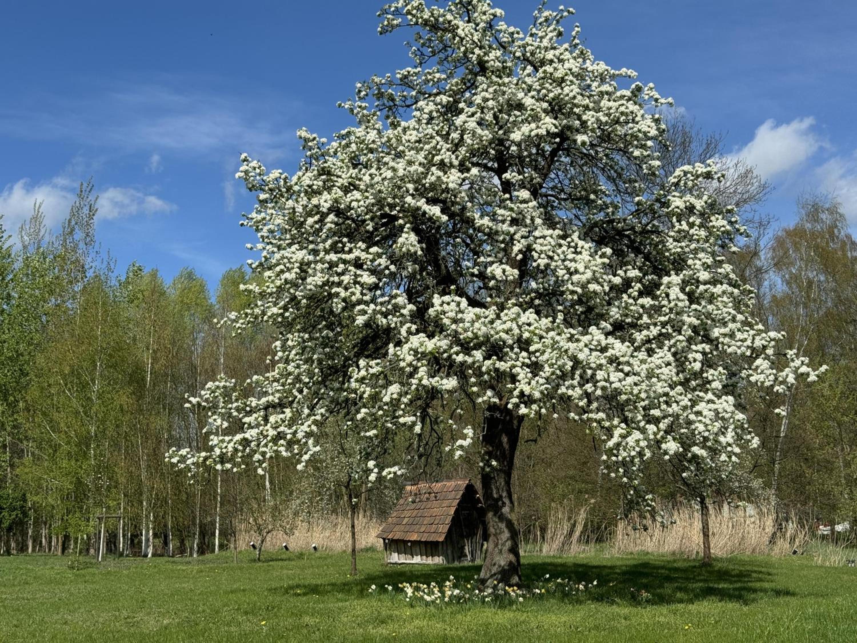 Fontanehof