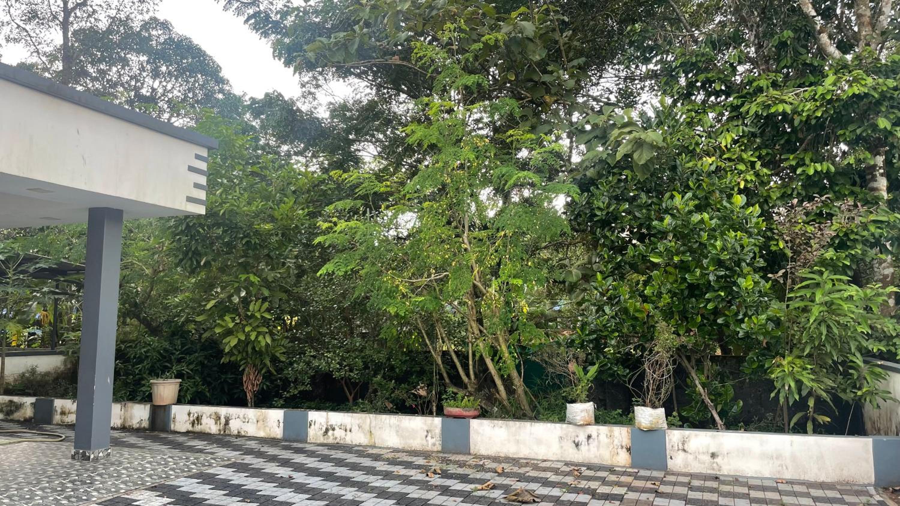 EBs Guest House, photo 19