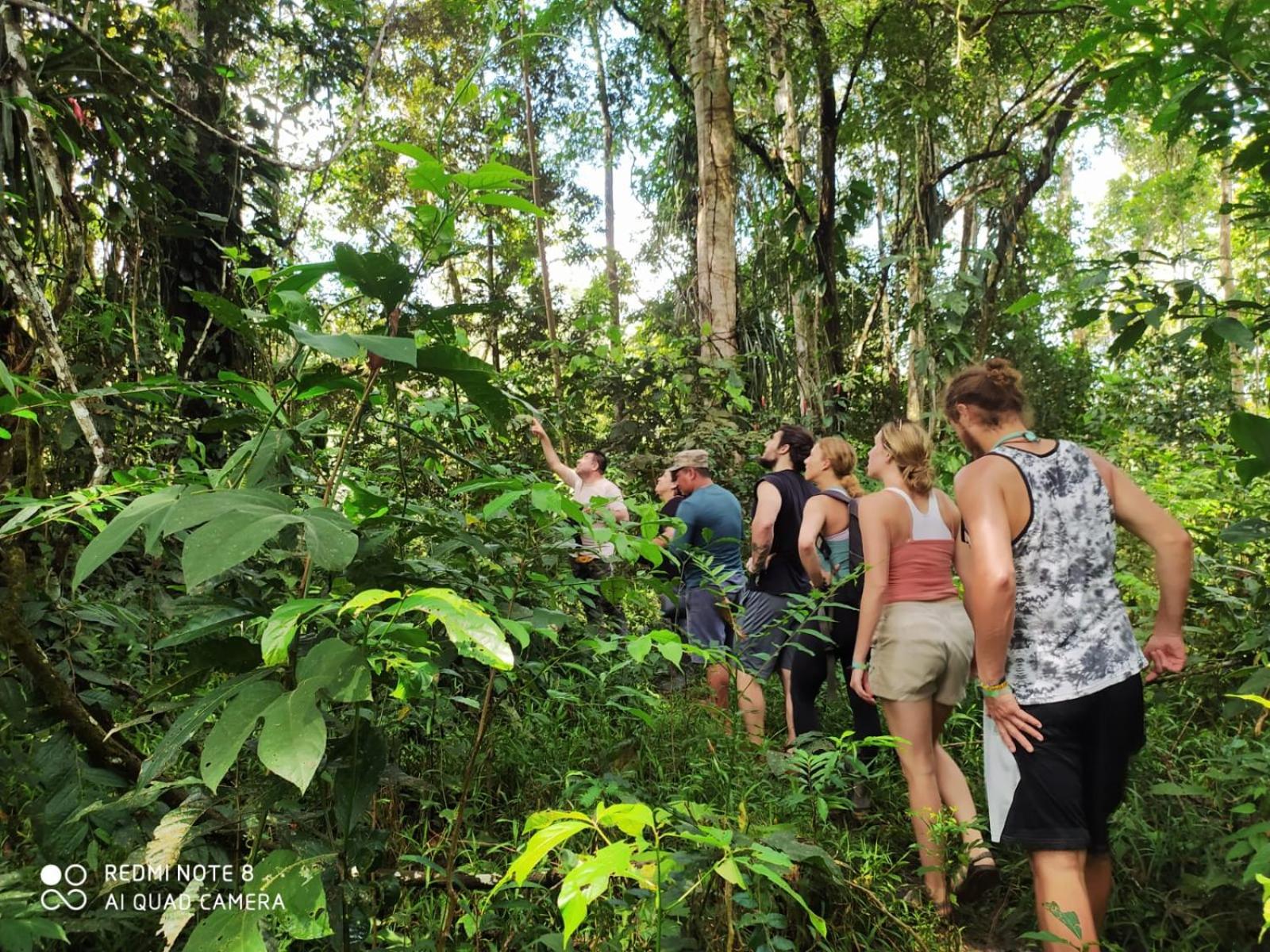 Jacamar Lodge Expeditions