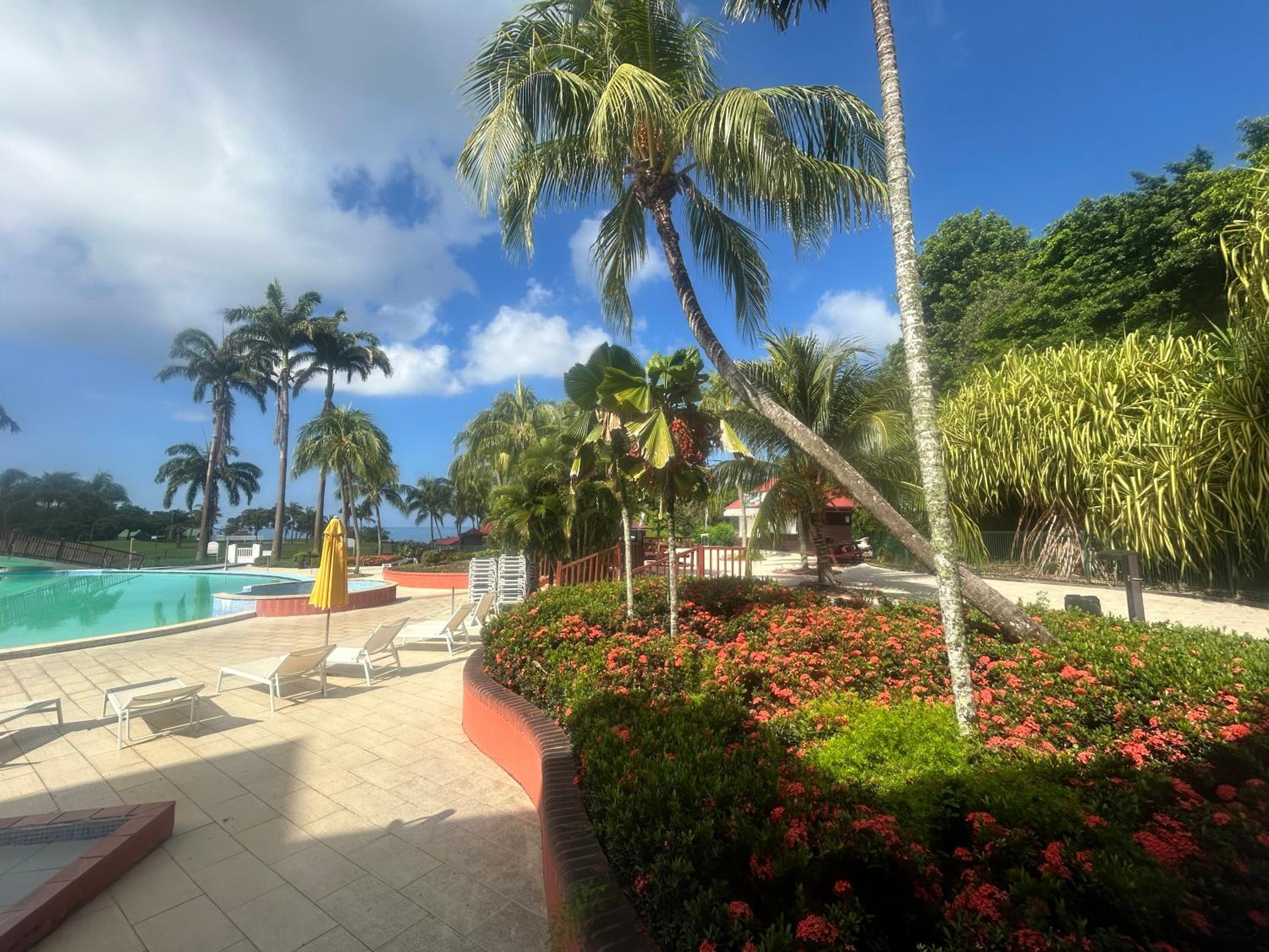Photo 107