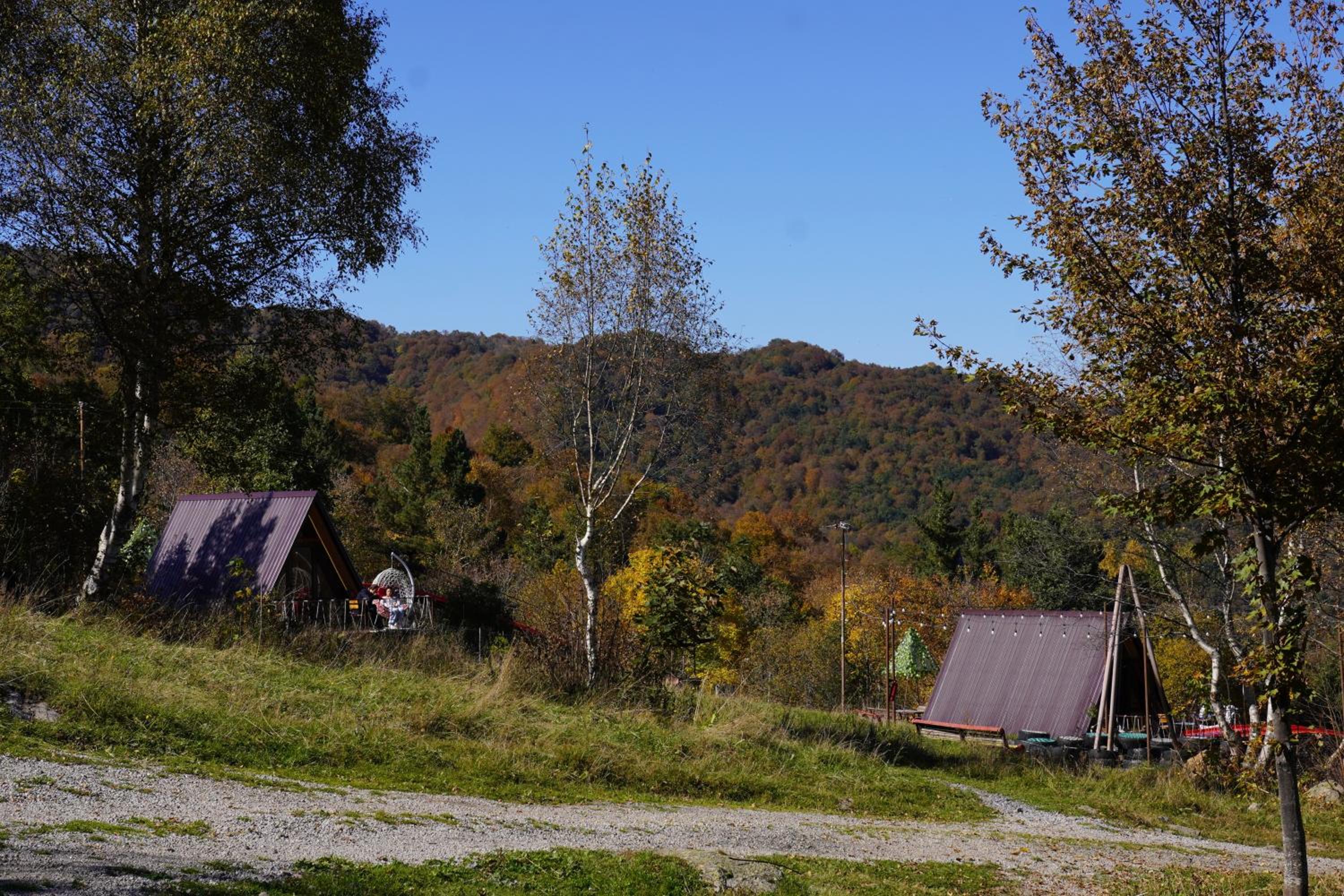 GLAMPING WOLF MOUNt