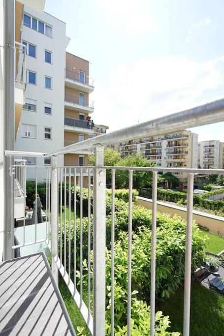 Sunny Apartment