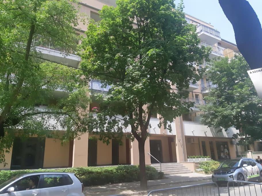 Sunny Apartment