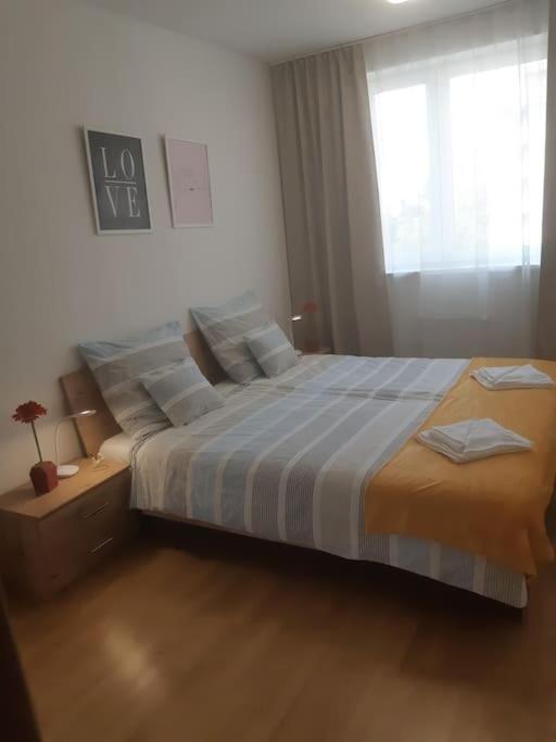 Sunny Apartment