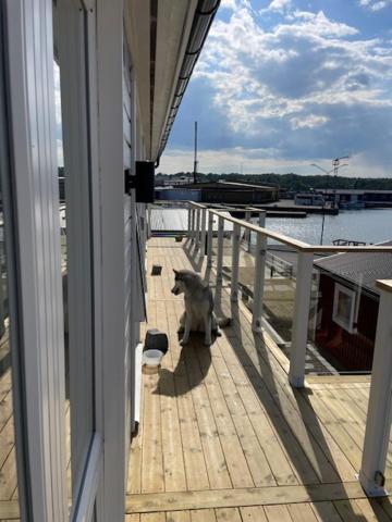 Villa Sharevik