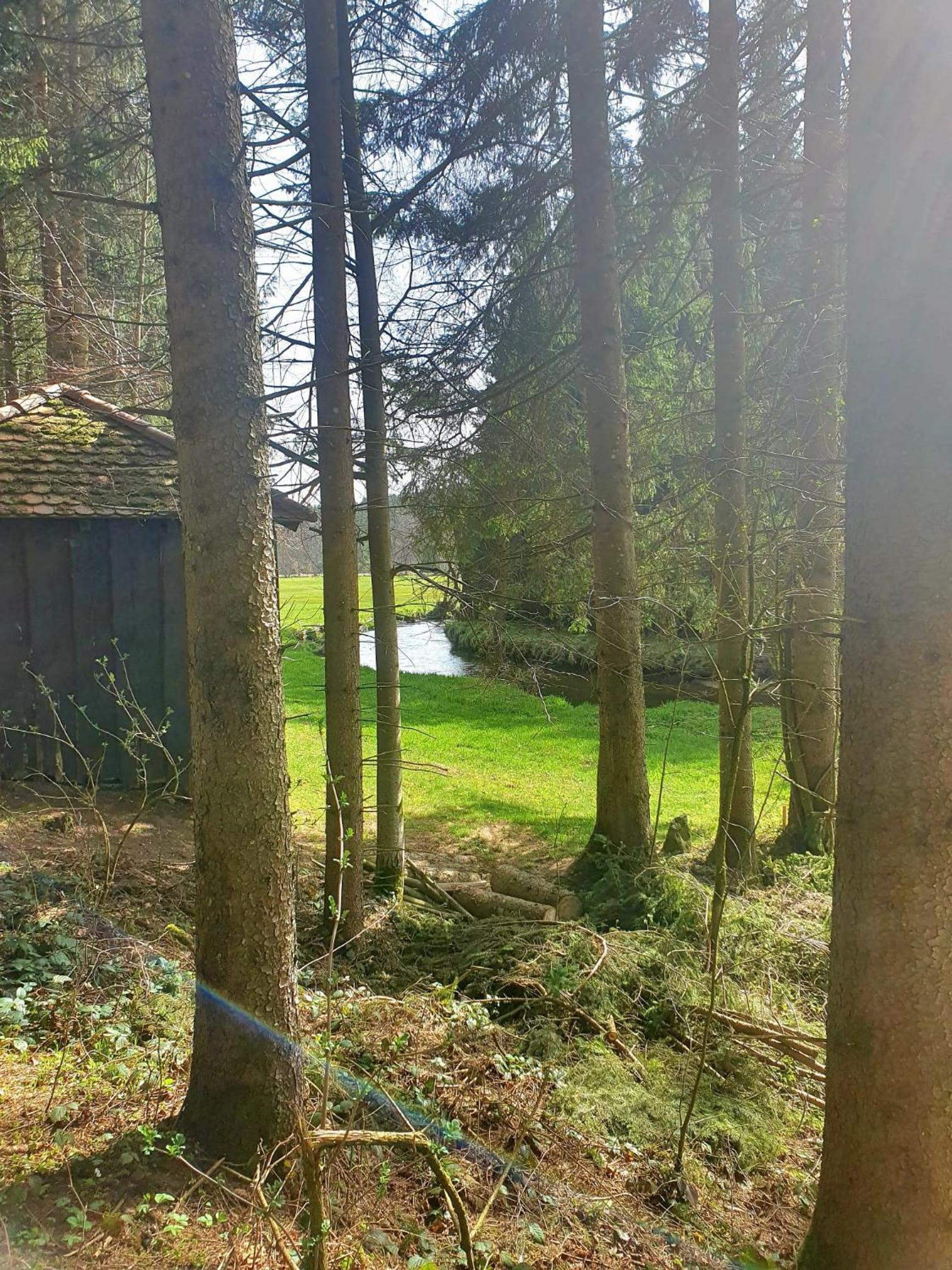 Böhmerwald fun