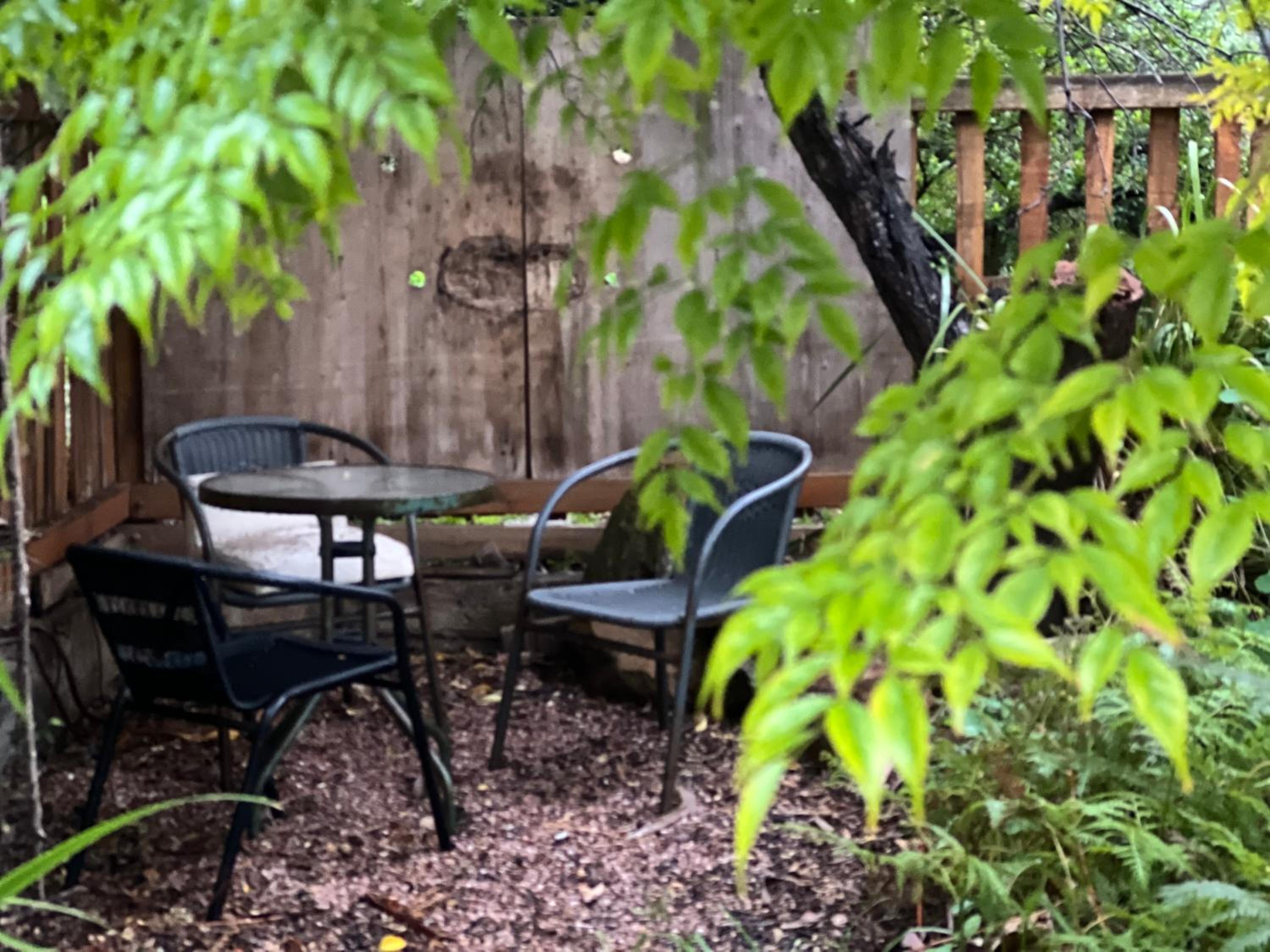 Secret Garden Shack
