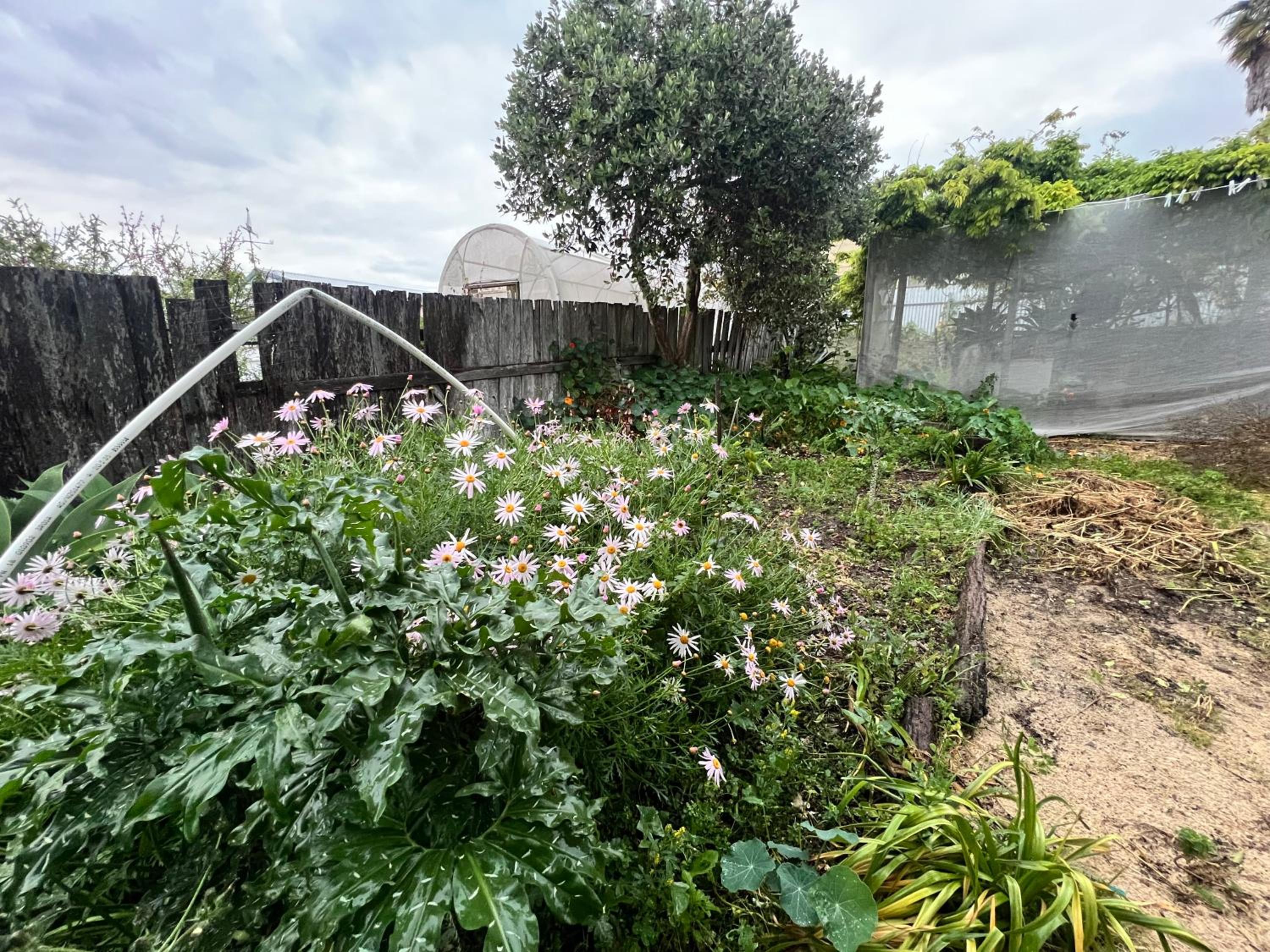 Secret Garden Shack