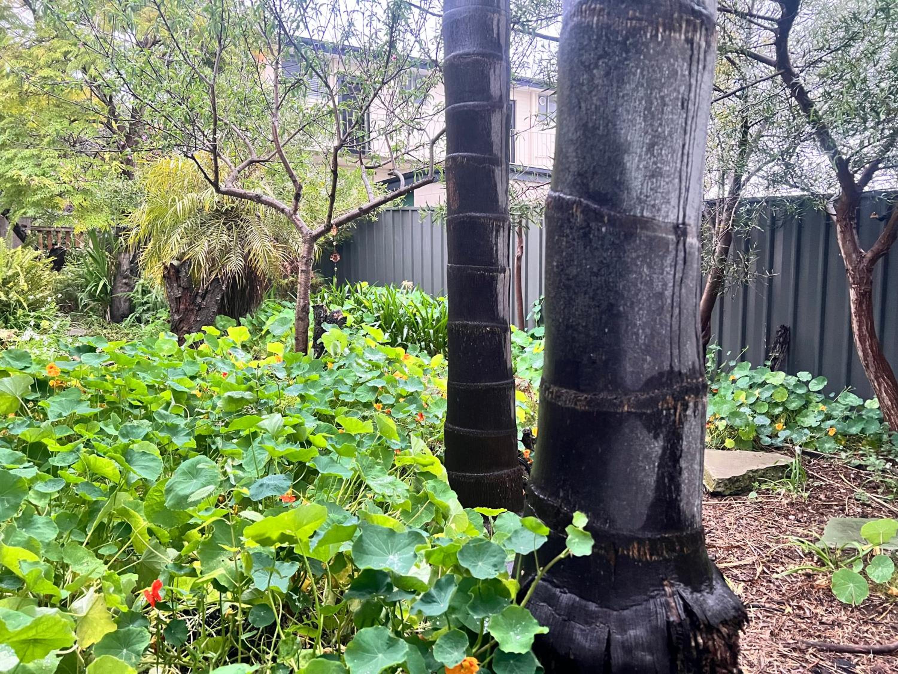 Secret Garden Shack