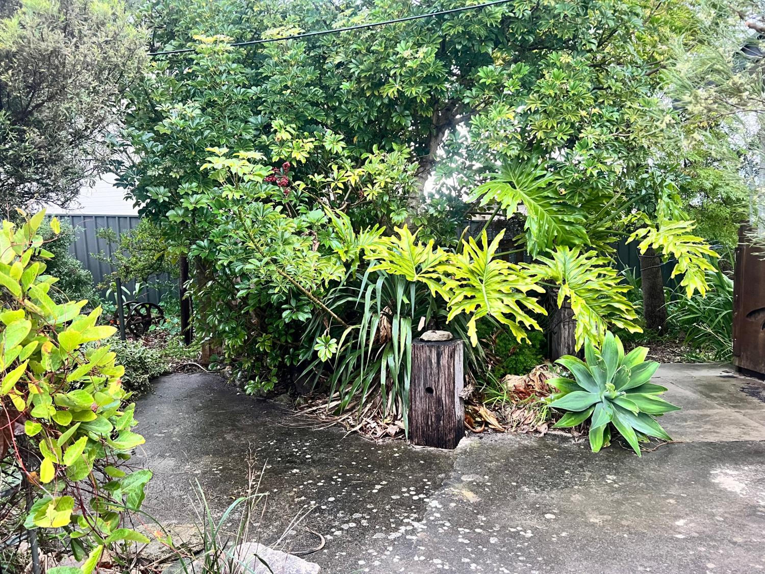 Secret Garden Shack