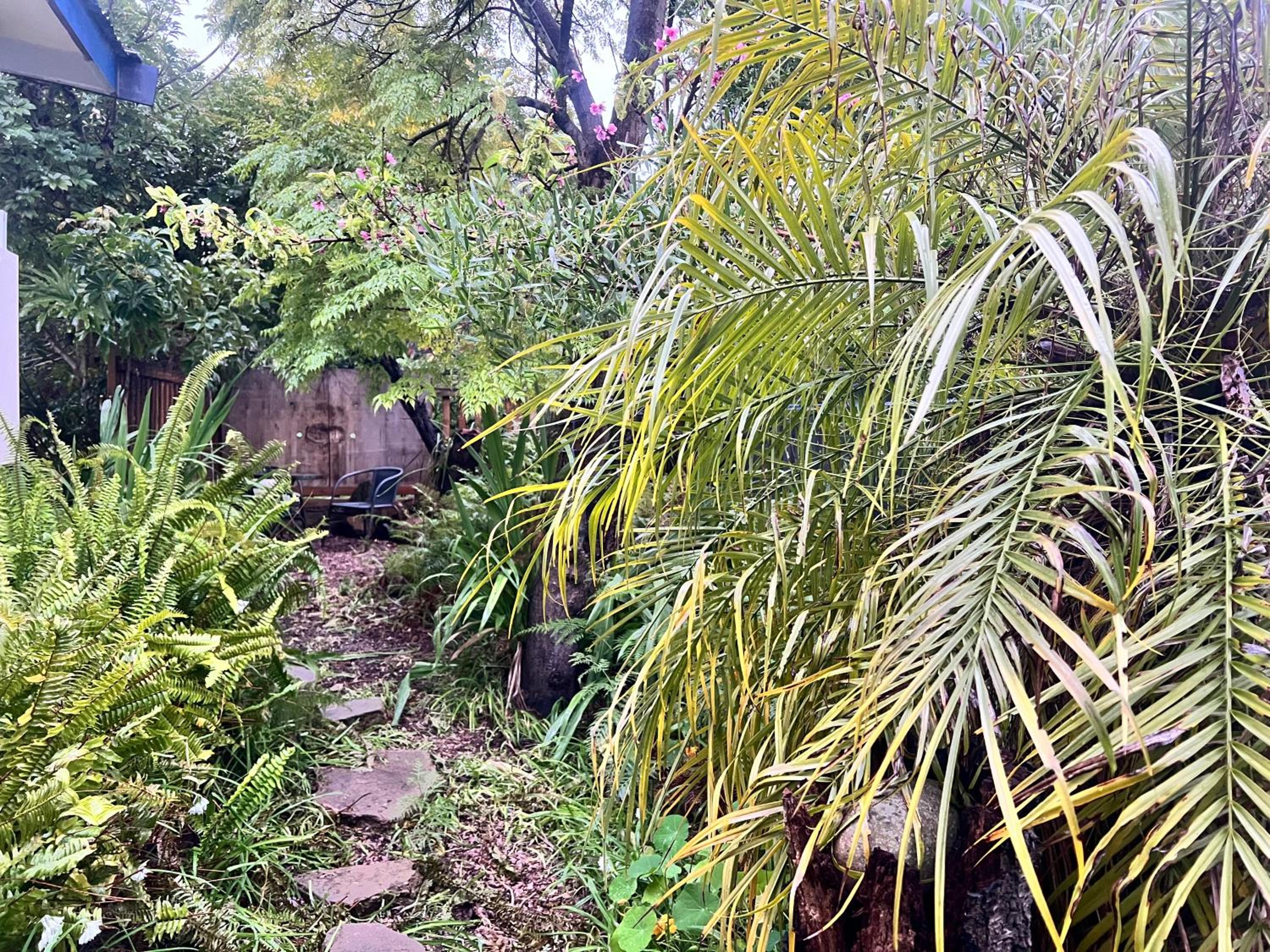 Secret Garden Shack
