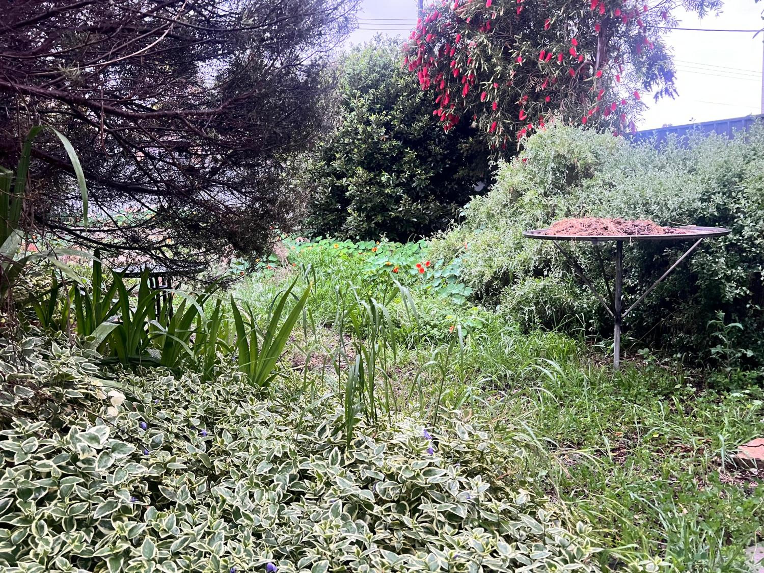 Secret Garden Shack