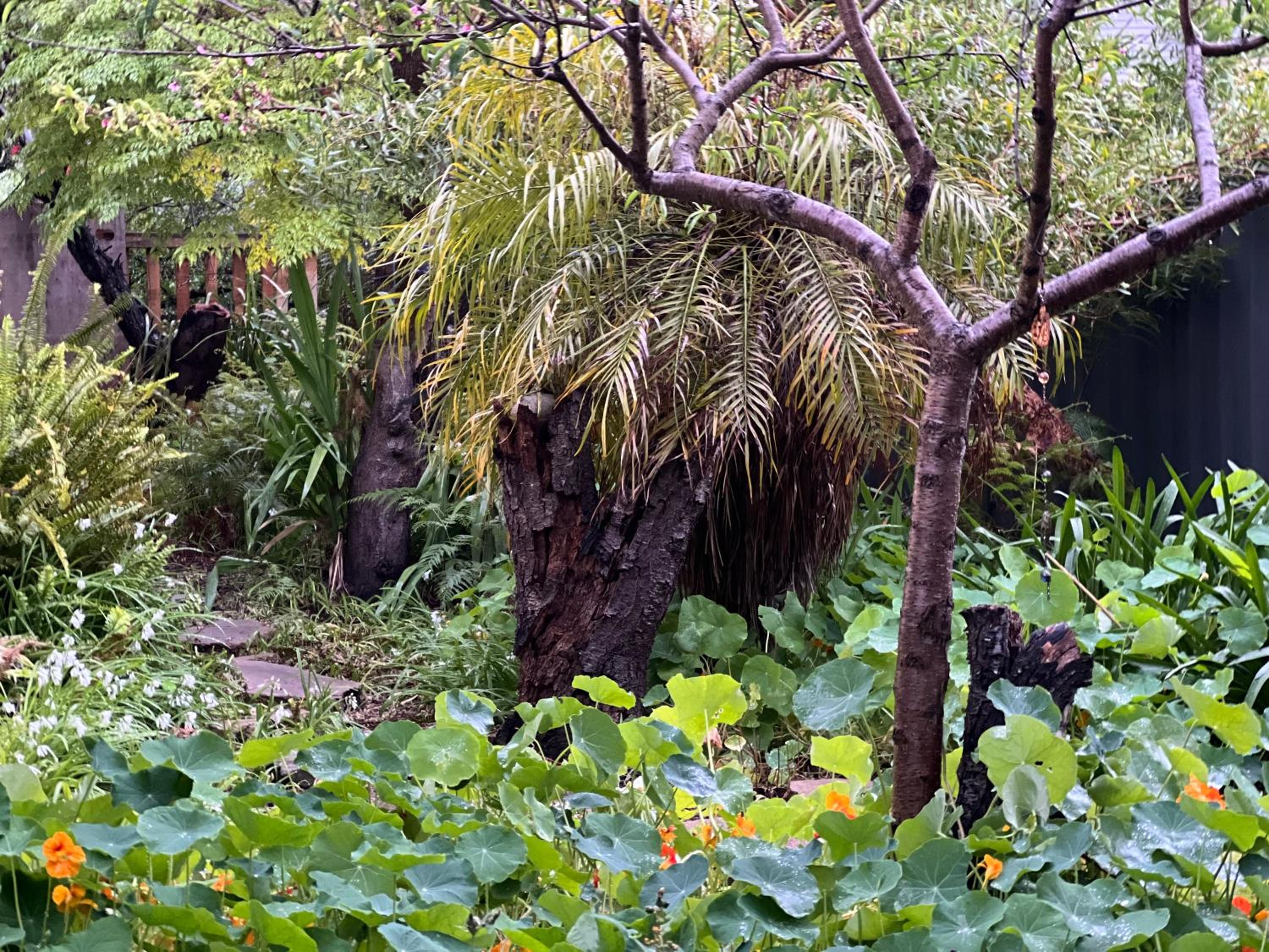 Secret Garden Shack