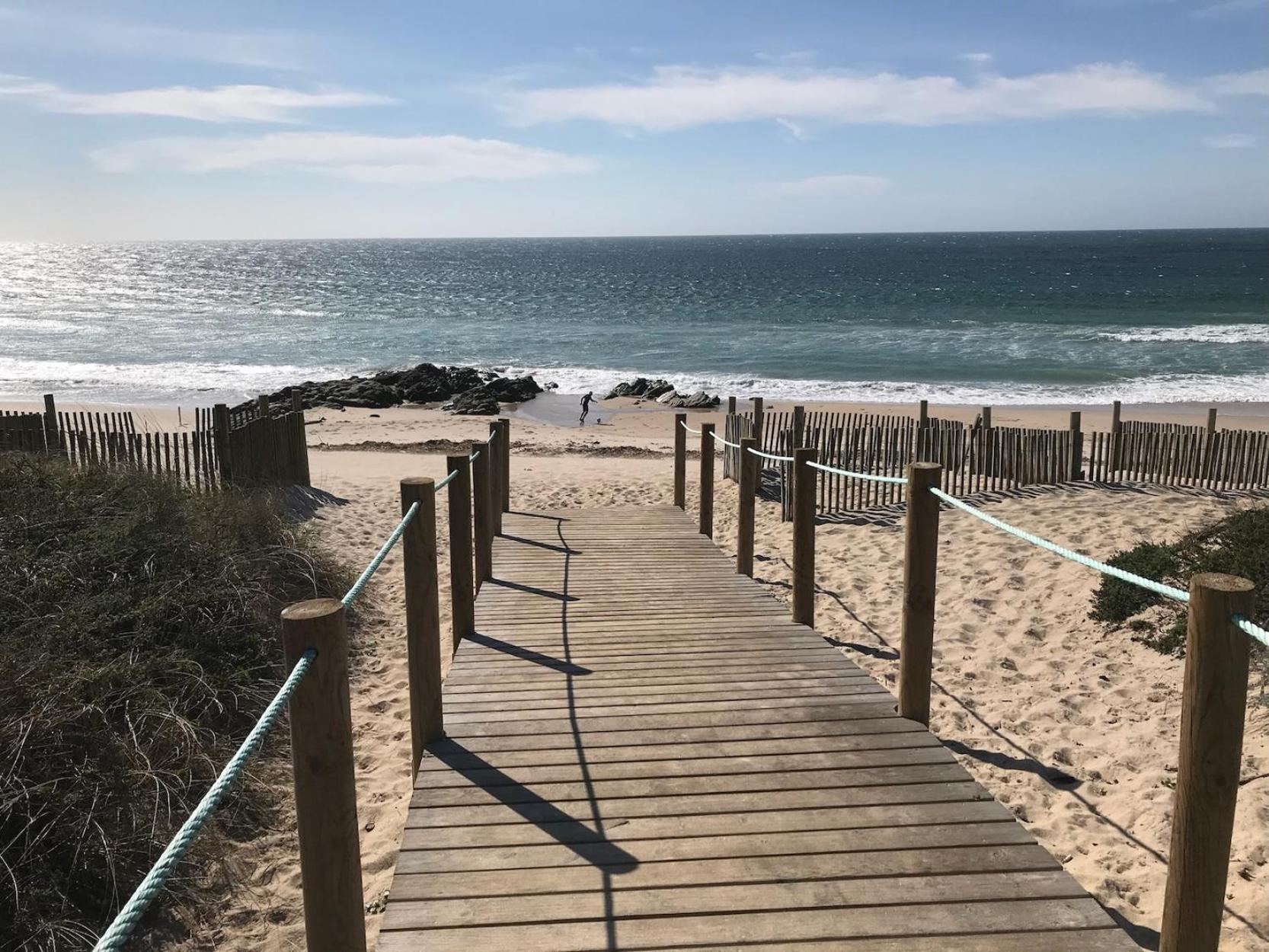 Photo 45