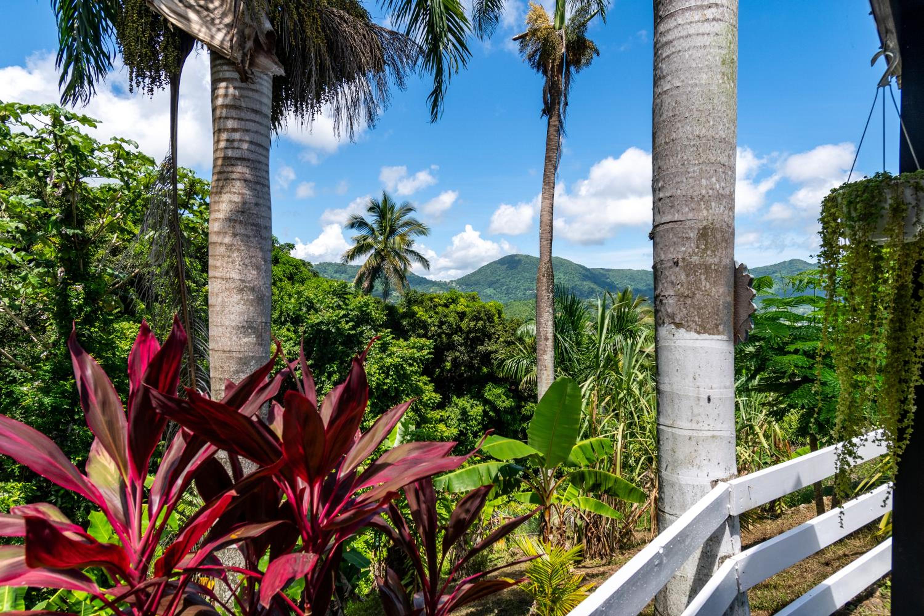 Hacienda Posada de Amor view 5