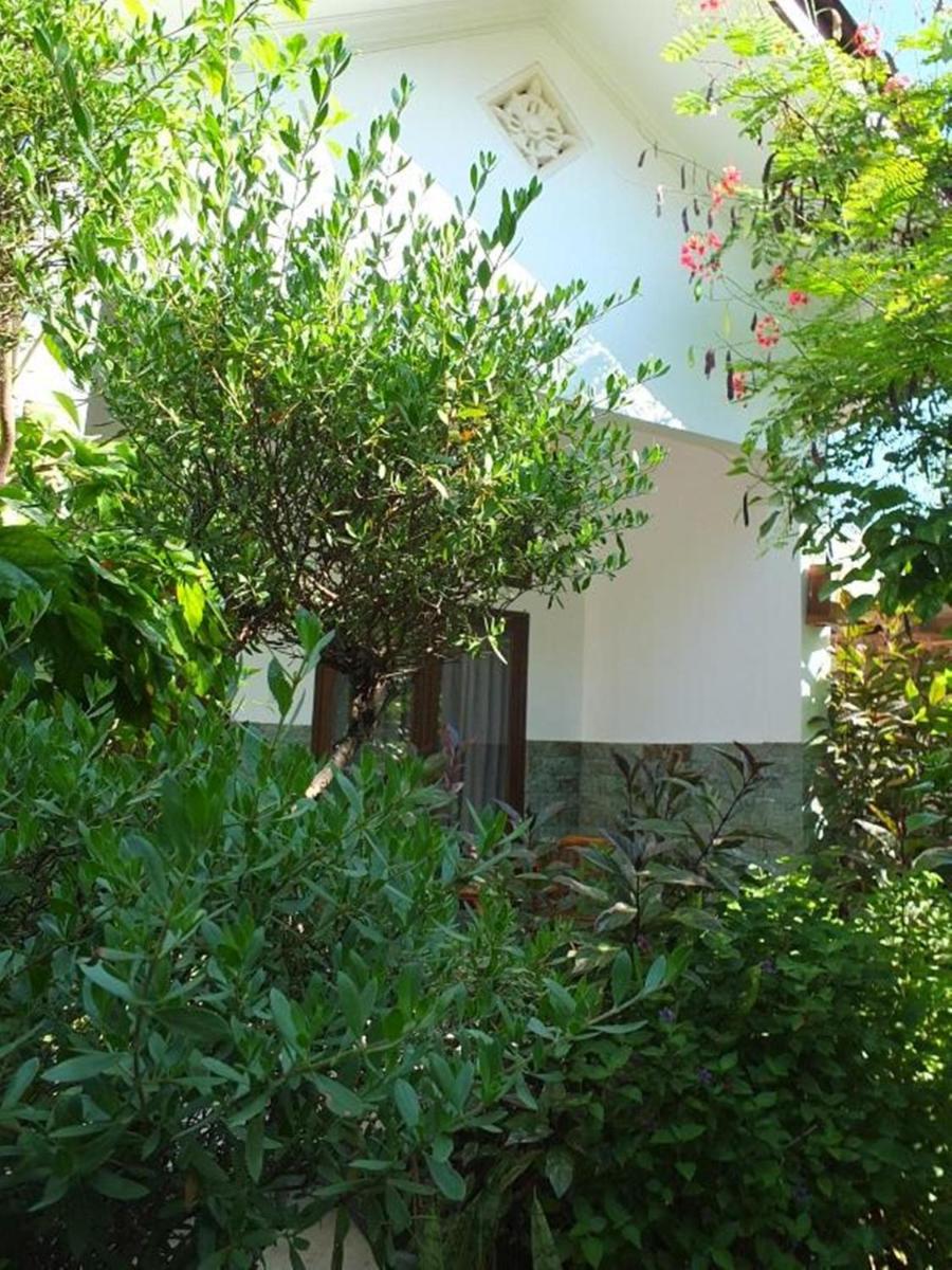 Photo 37