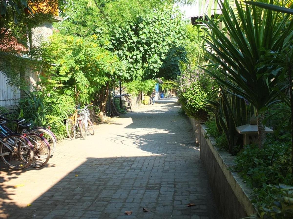Photo 38