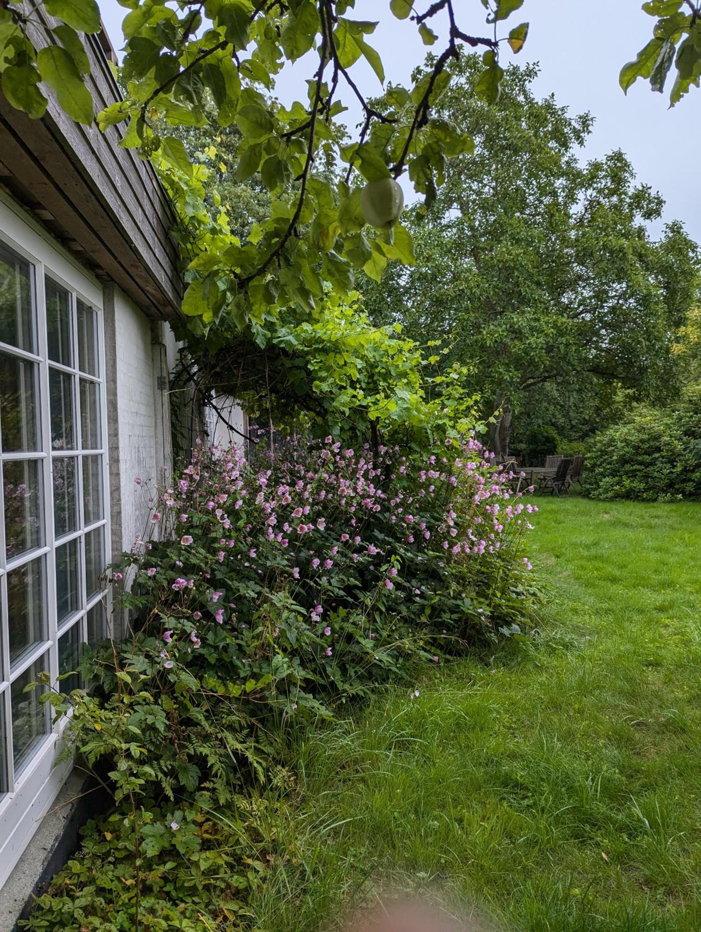 Lejlighed ved skov