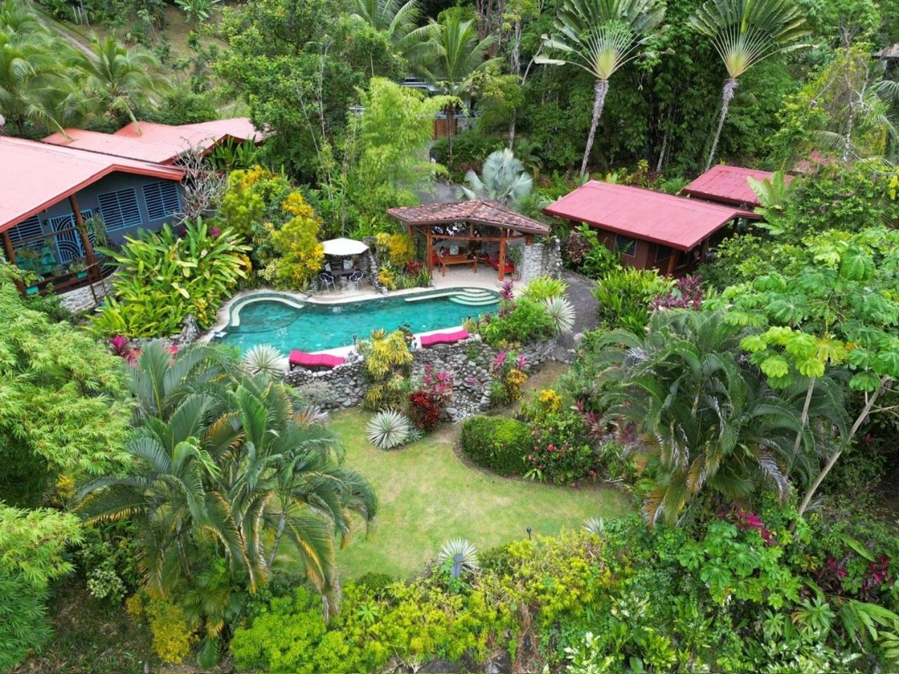 Tortuga Premium Riverfront Jungle Villa with Jacuzzi and Pool