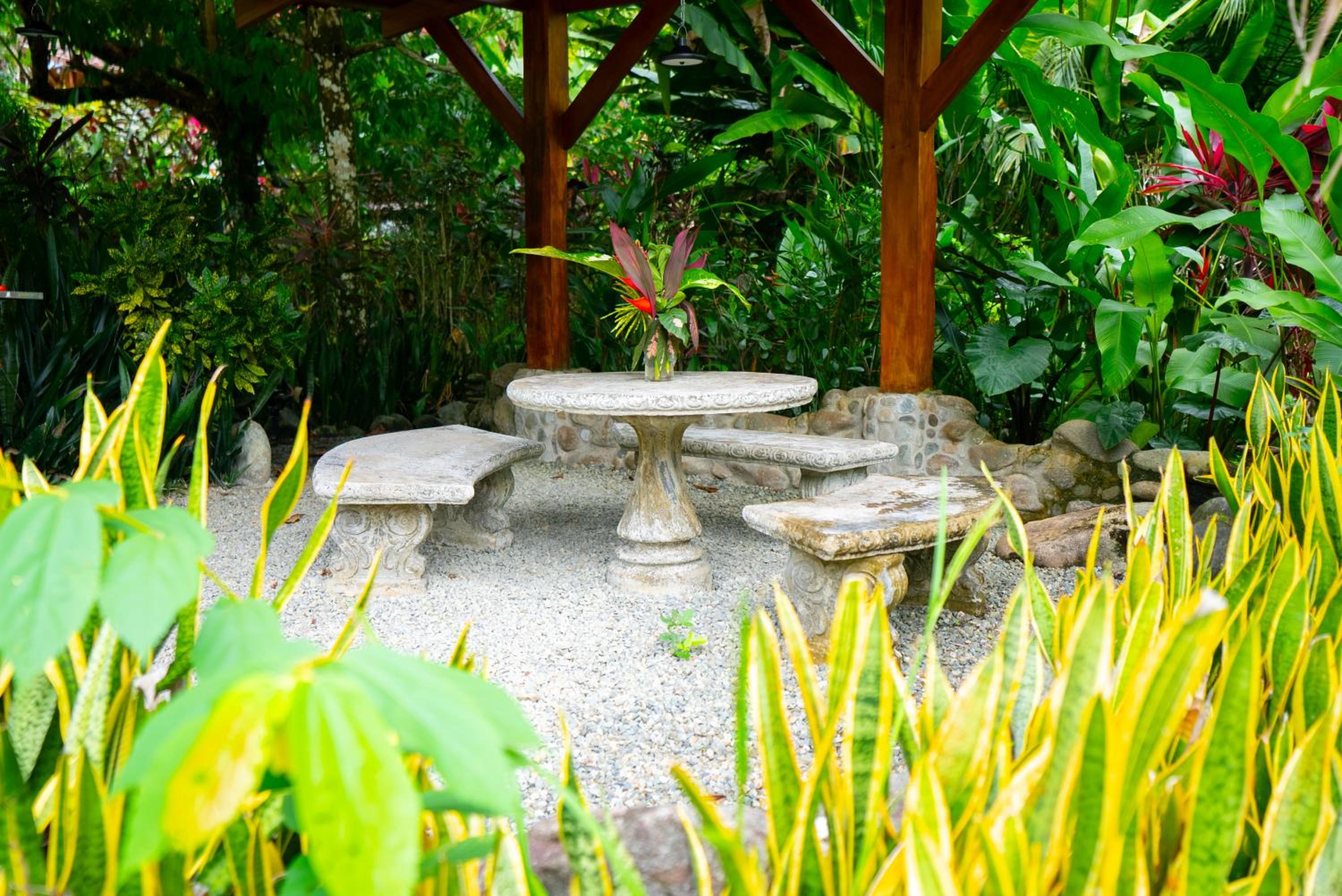 Tortuga Premium Riverfront Jungle Villa with Jacuzzi and Pool